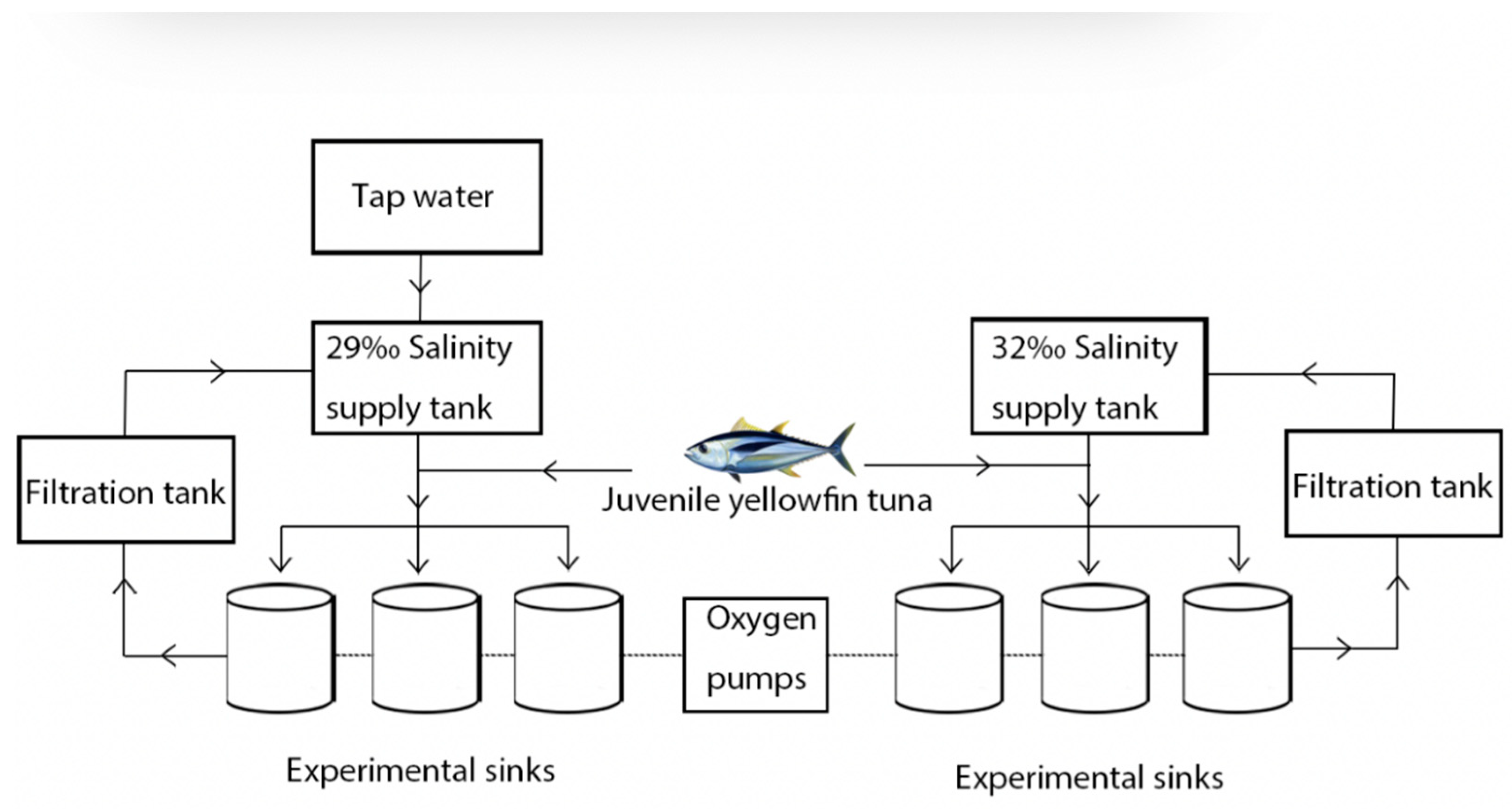 Animals 13 03454 g001