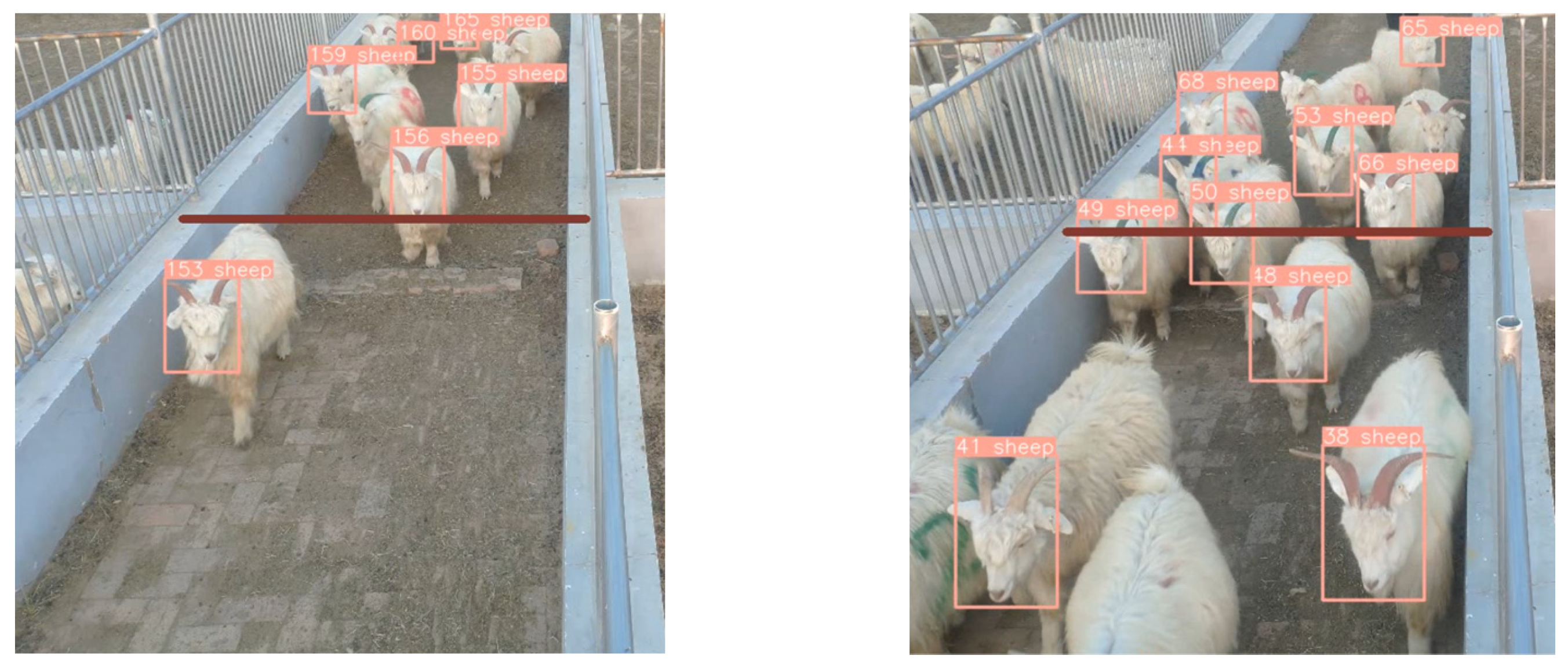 Animals 13 03459 g009