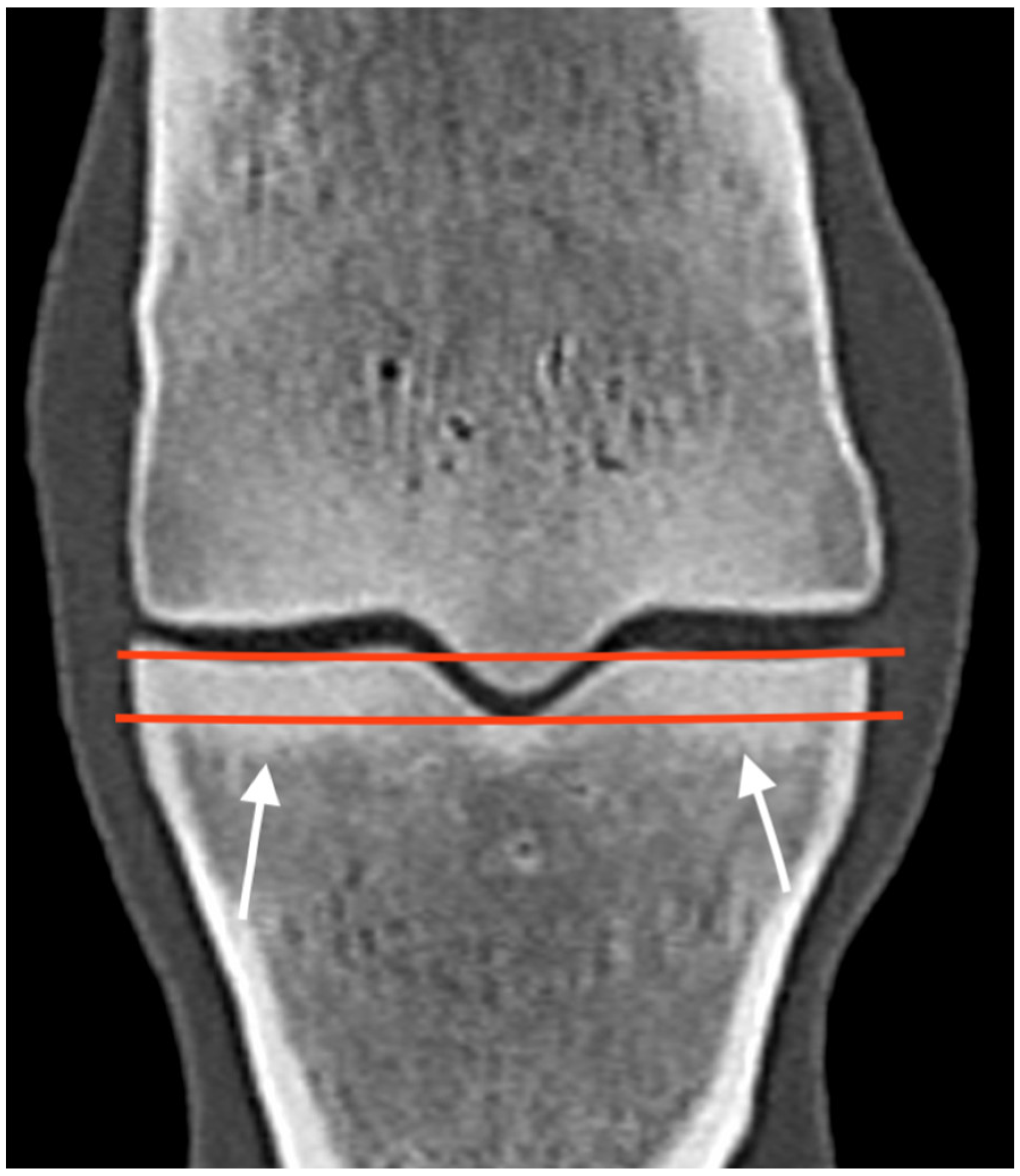 Animals 13 03466 g001