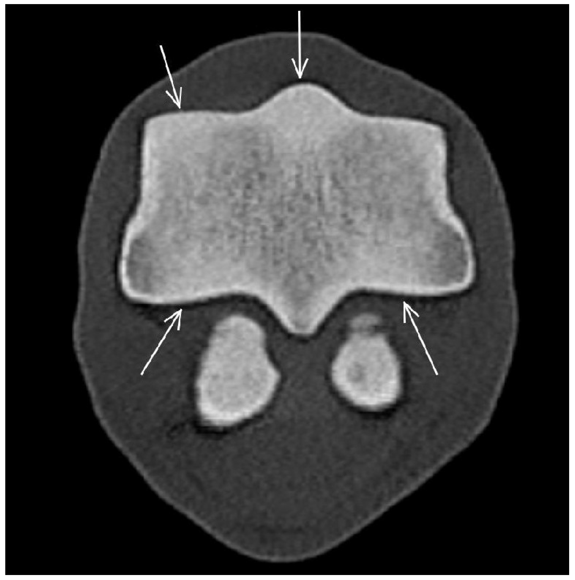 Animals 13 03466 g004