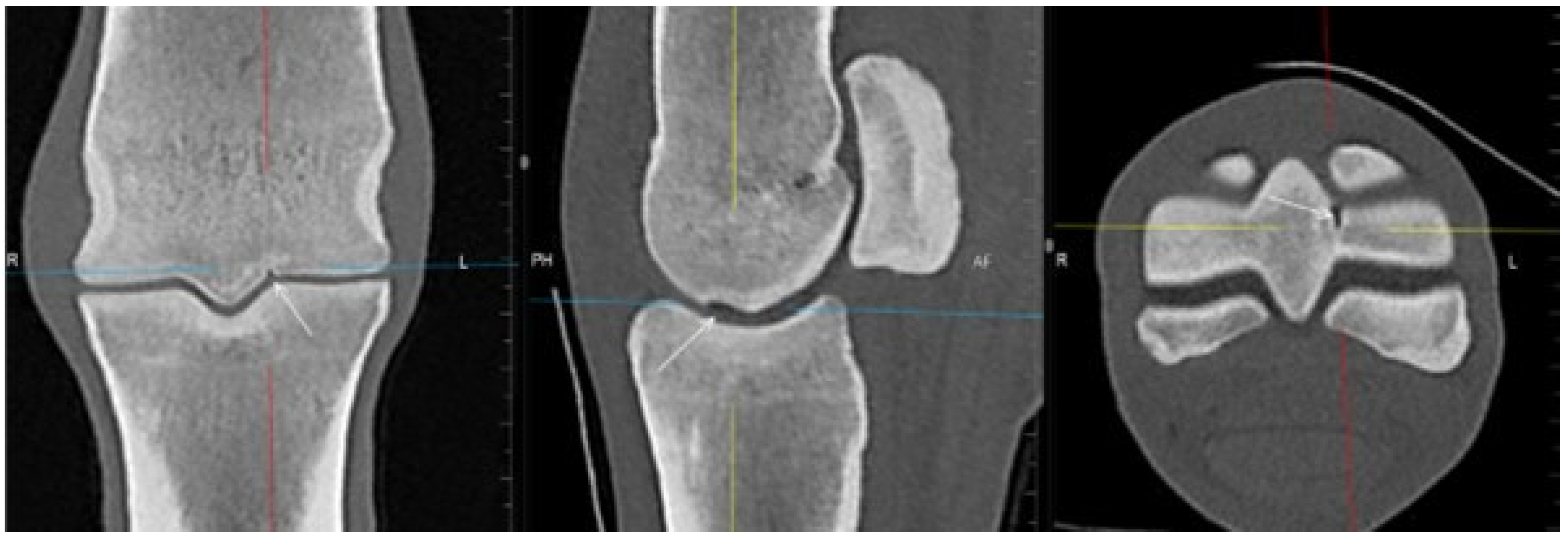 Animals 13 03466 g005