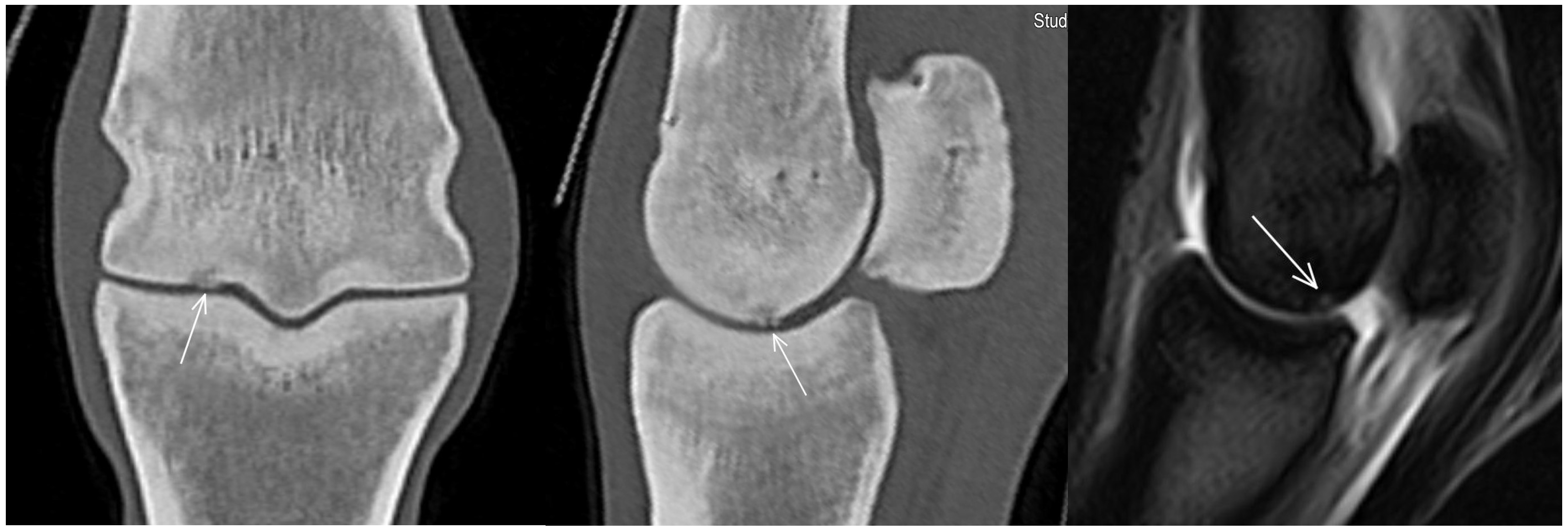 Animals 13 03466 g006