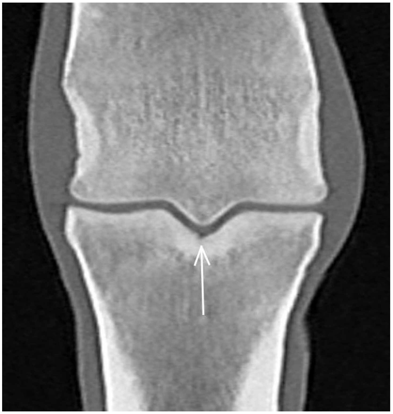 Animals 13 03466 g008