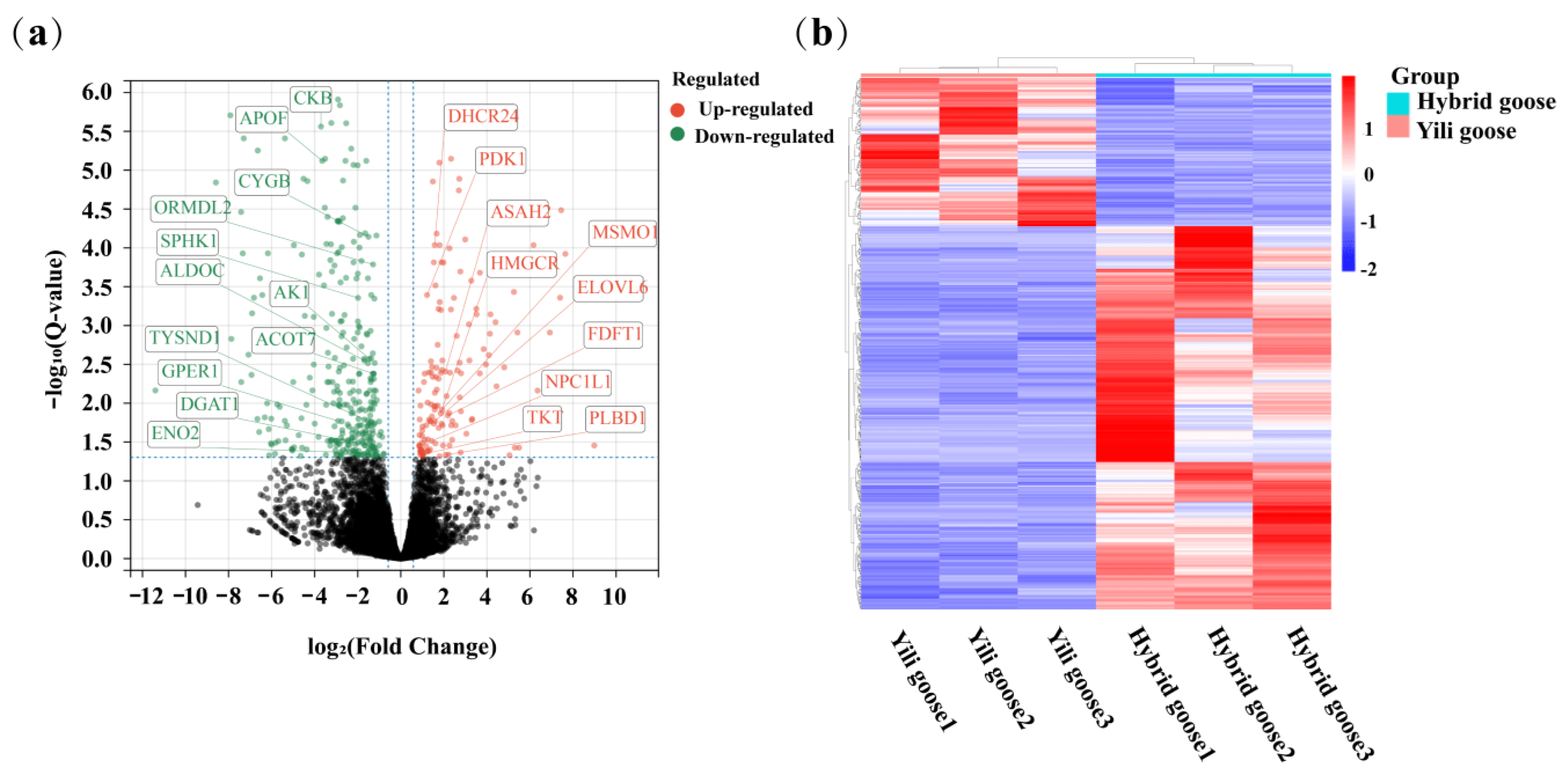 Animals 13 03473 g003 Animals 13 03473 g003
