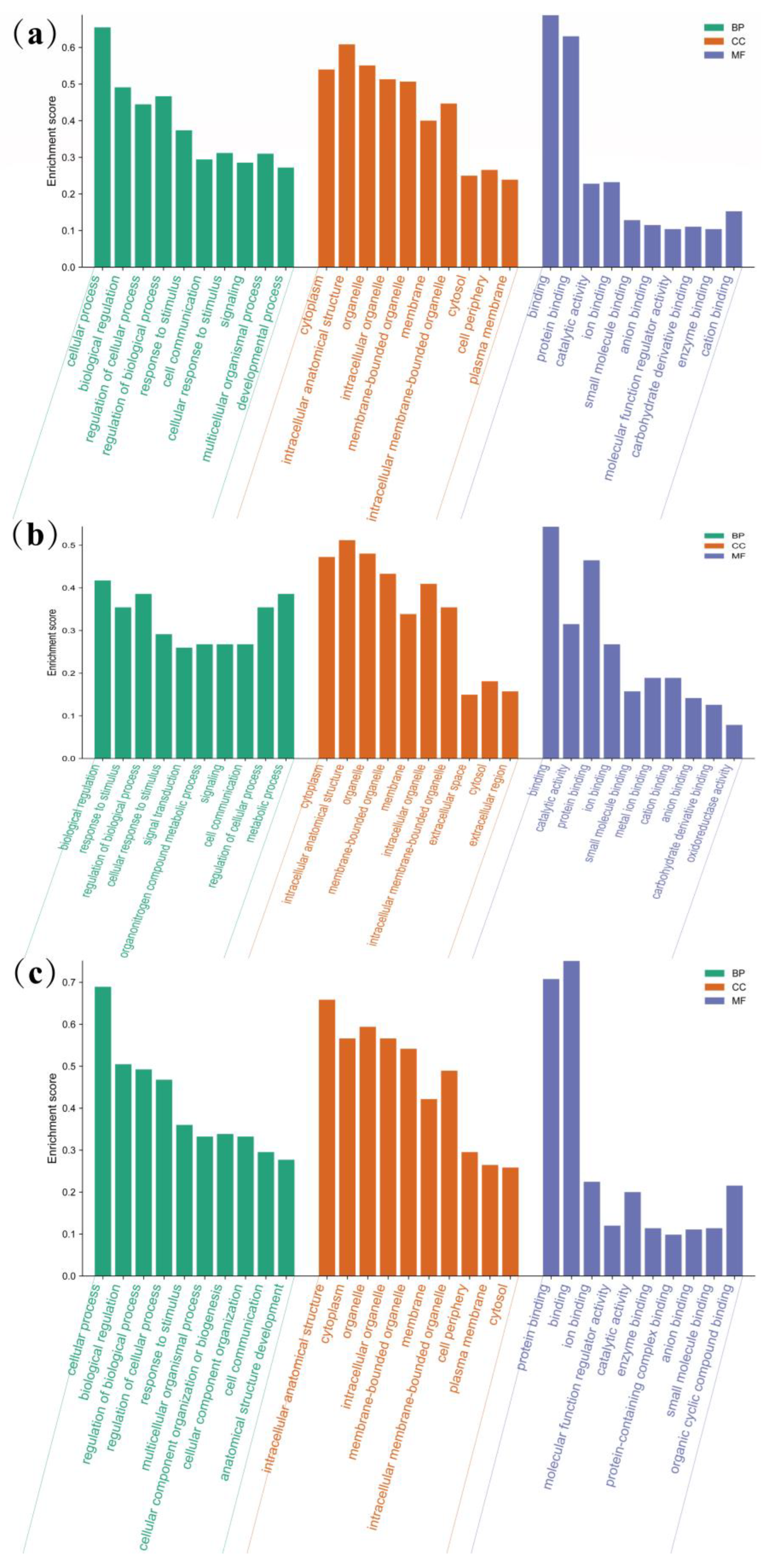 Animals 13 03473 g004 Animals 13 03473 g004