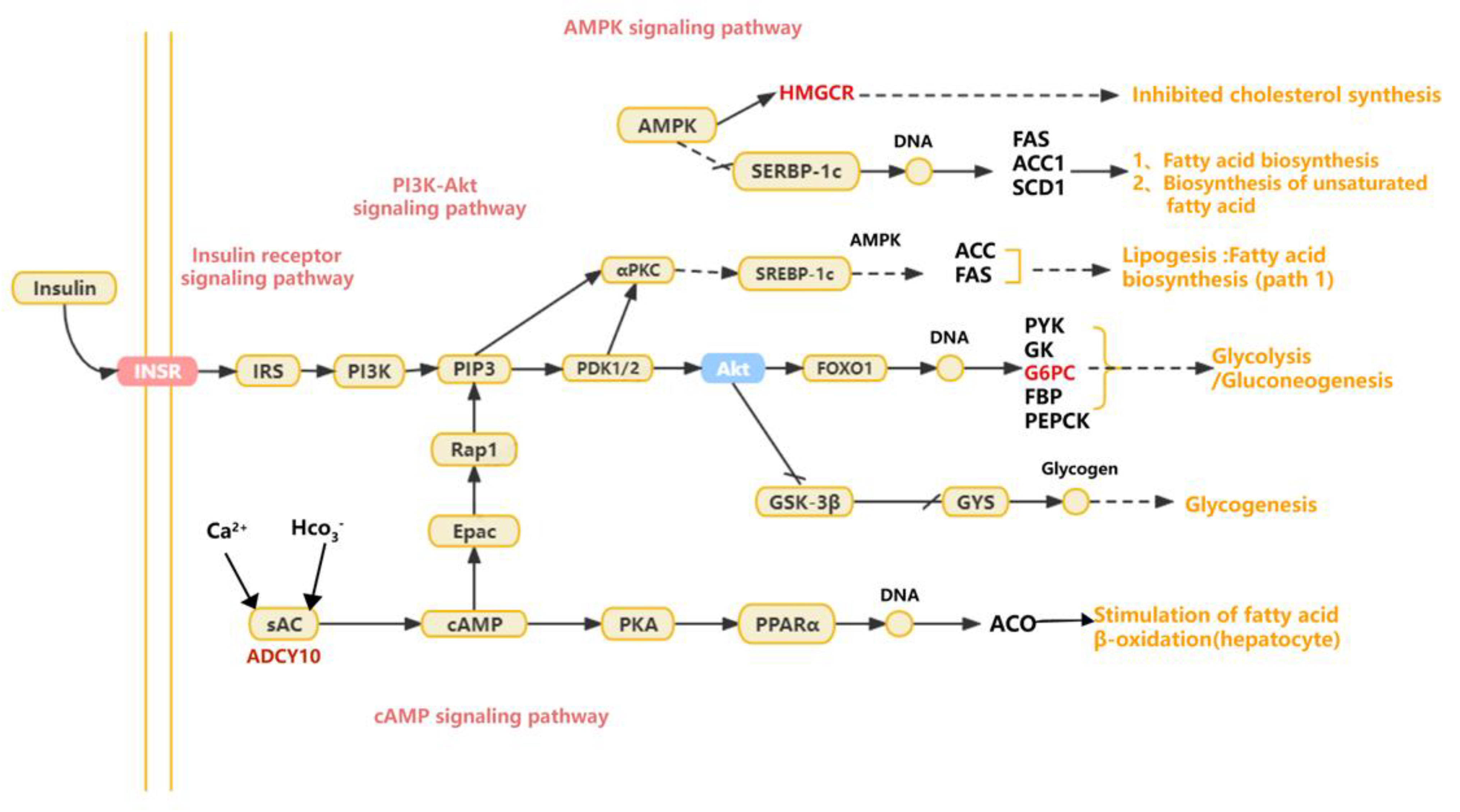 Animals 13 03473 g010 Animals 13 03473 g010