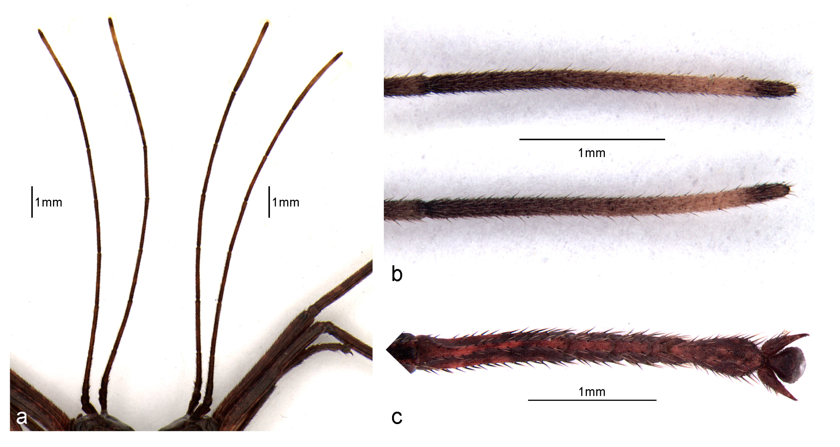 Animals 13 03474 g003