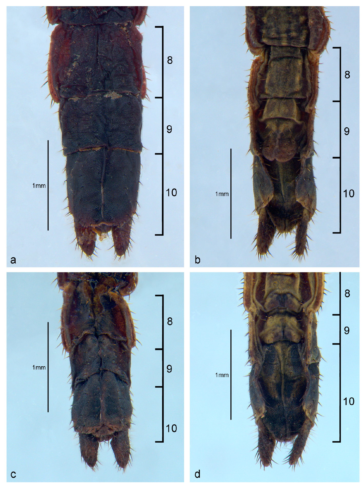 Animals 13 03474 g007