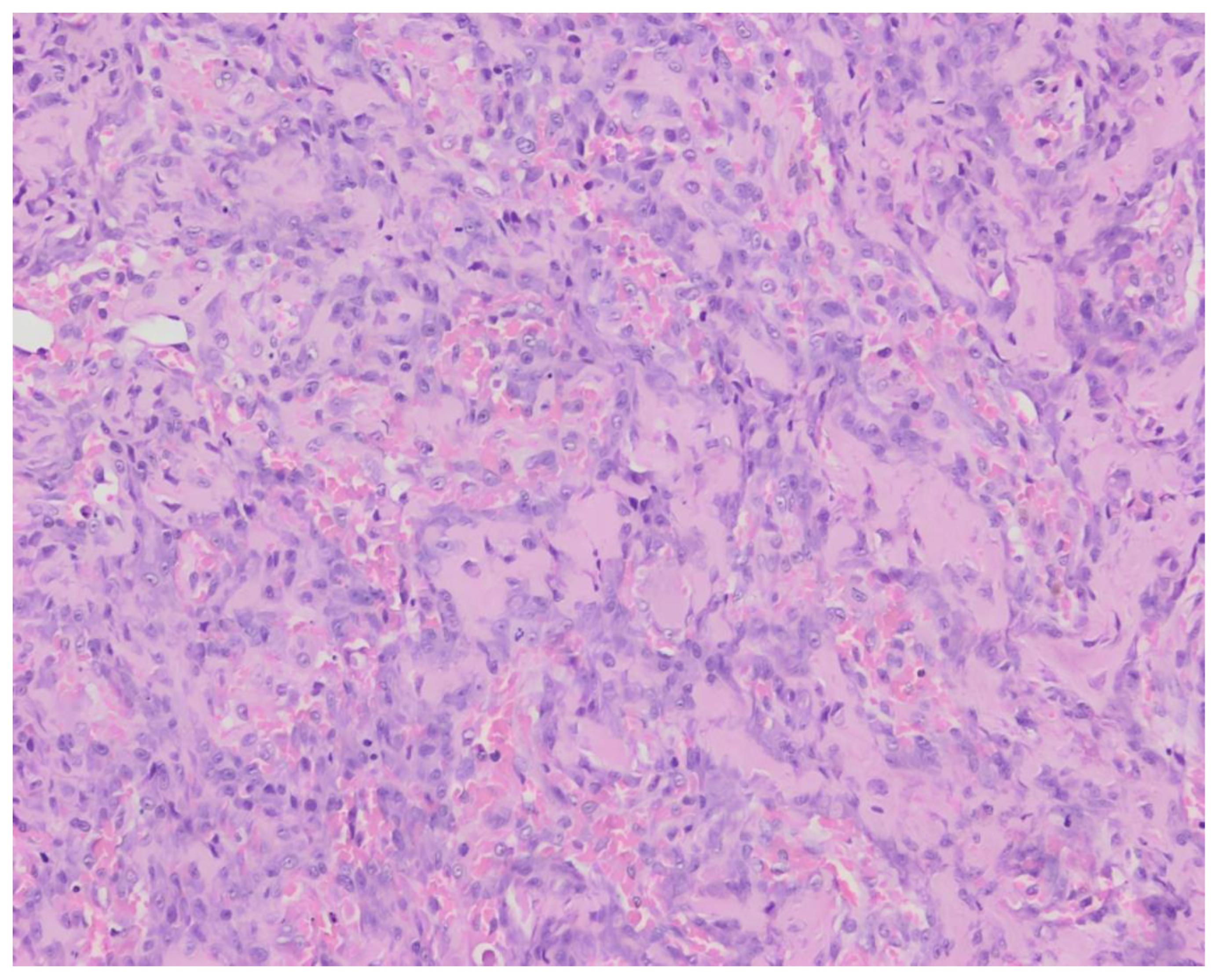 Animals 13 03478 g002