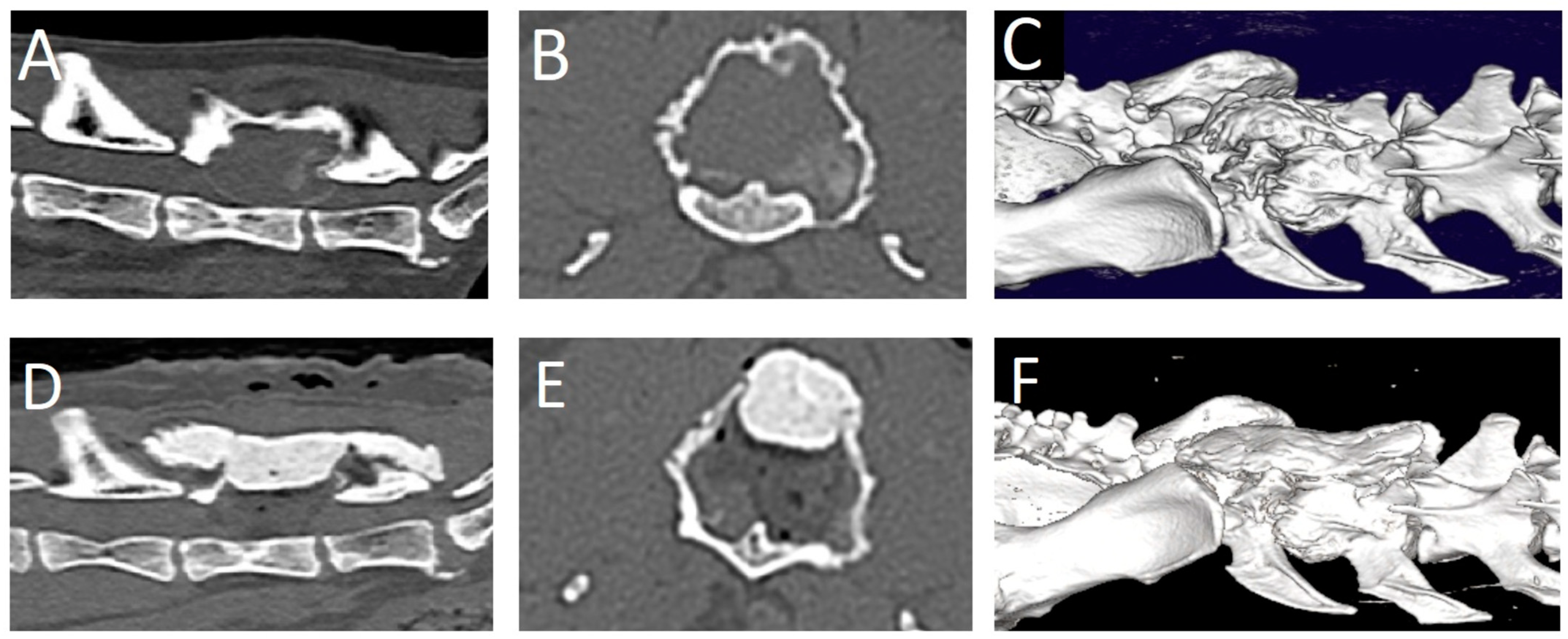 Animals 13 03478 g004