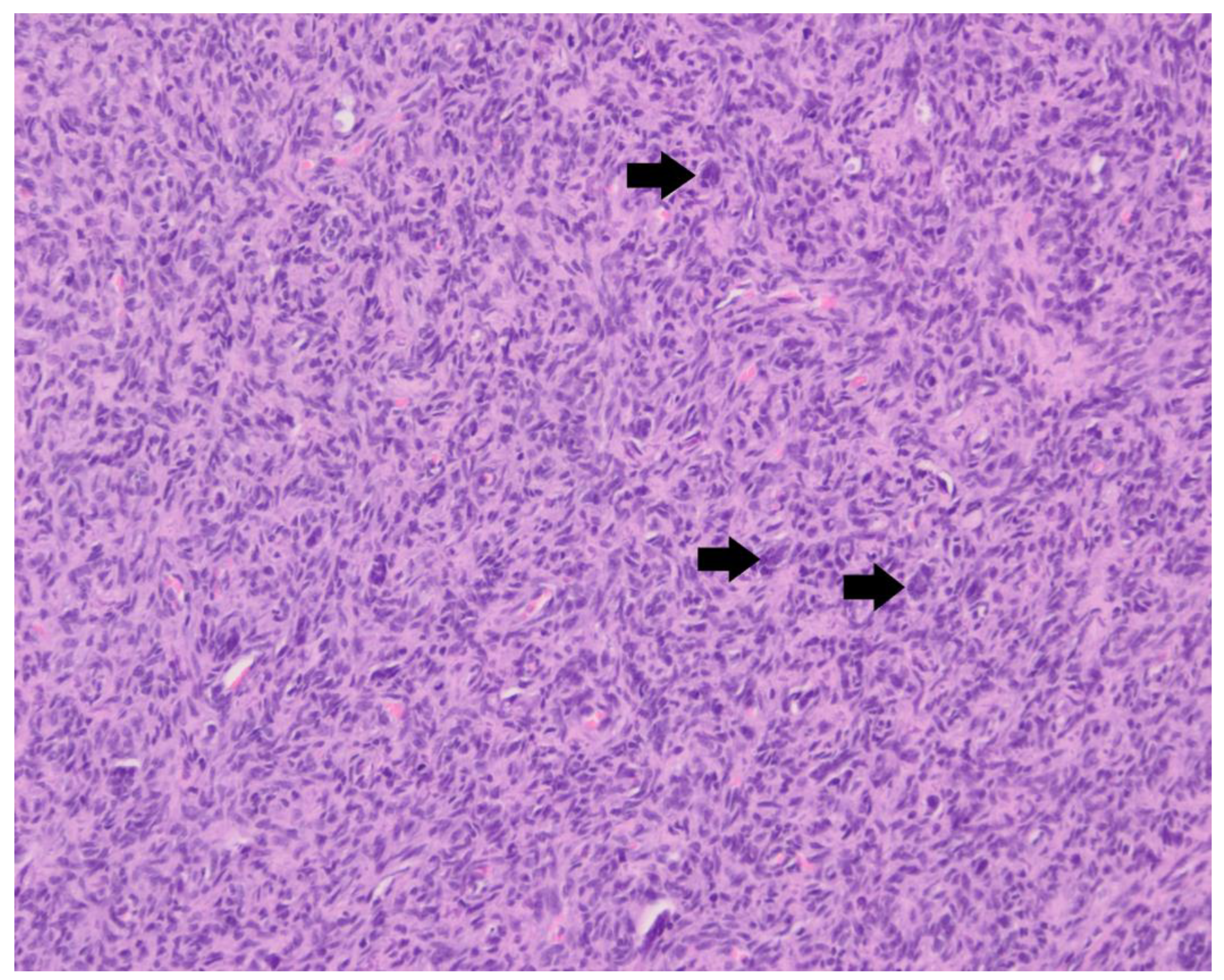 Animals 13 03478 g005