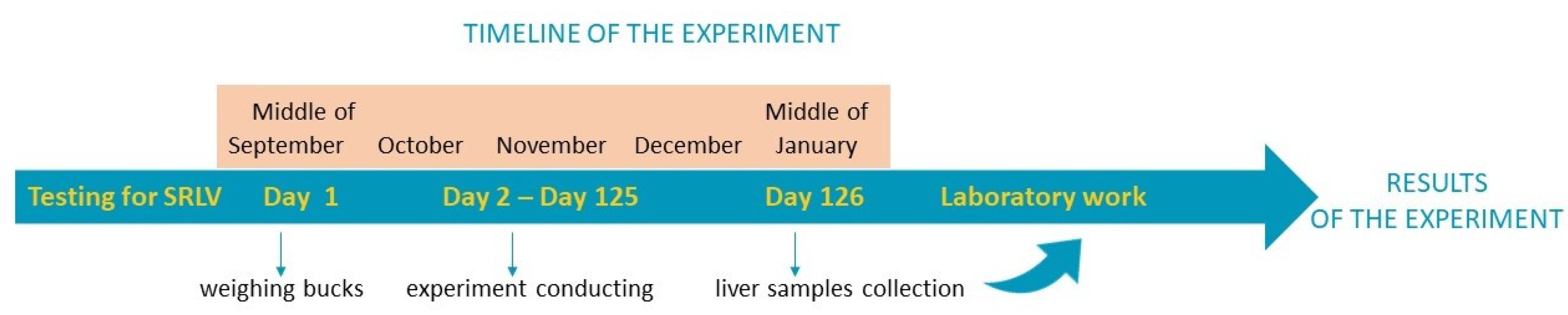 Animals 13 03489 g001