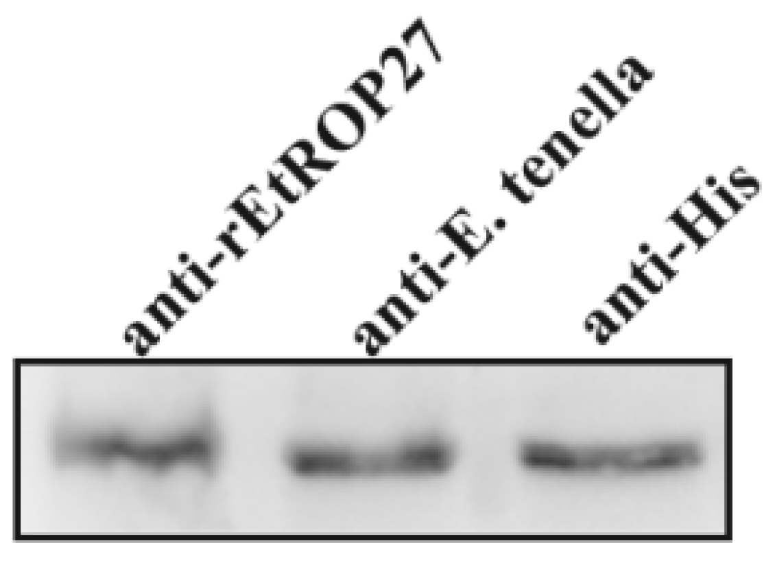 Animals 13 03500 g003