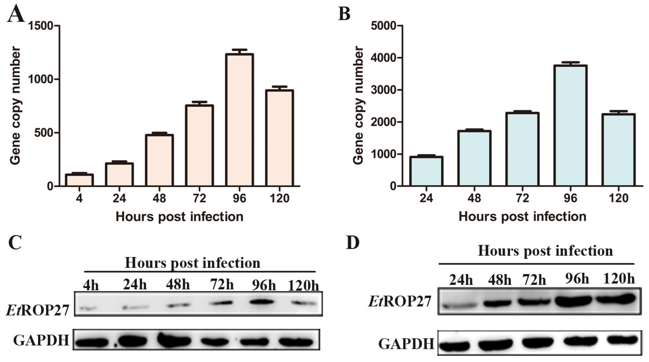 Animals 13 03500 g004