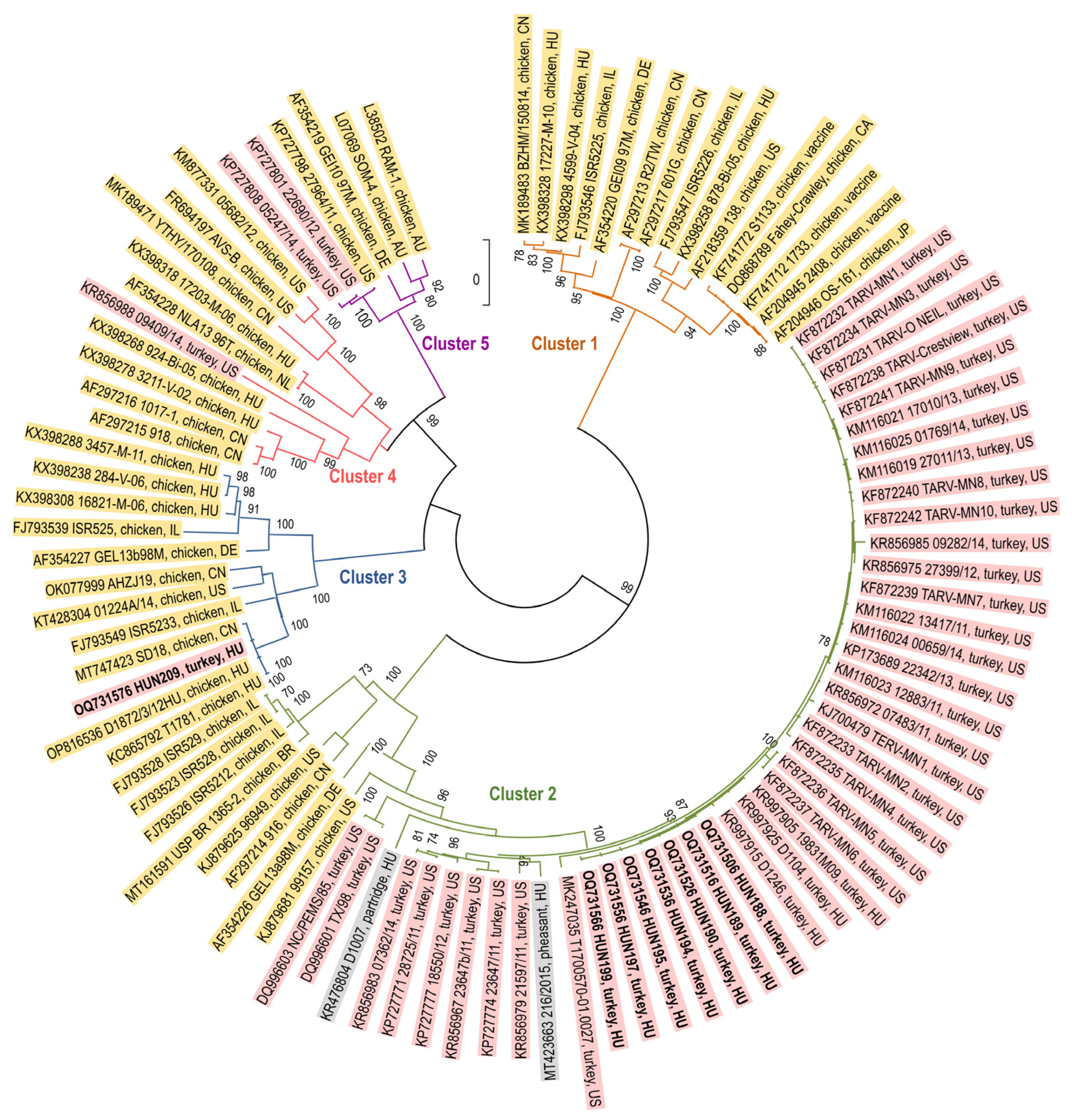 Animals 13 03504 g001