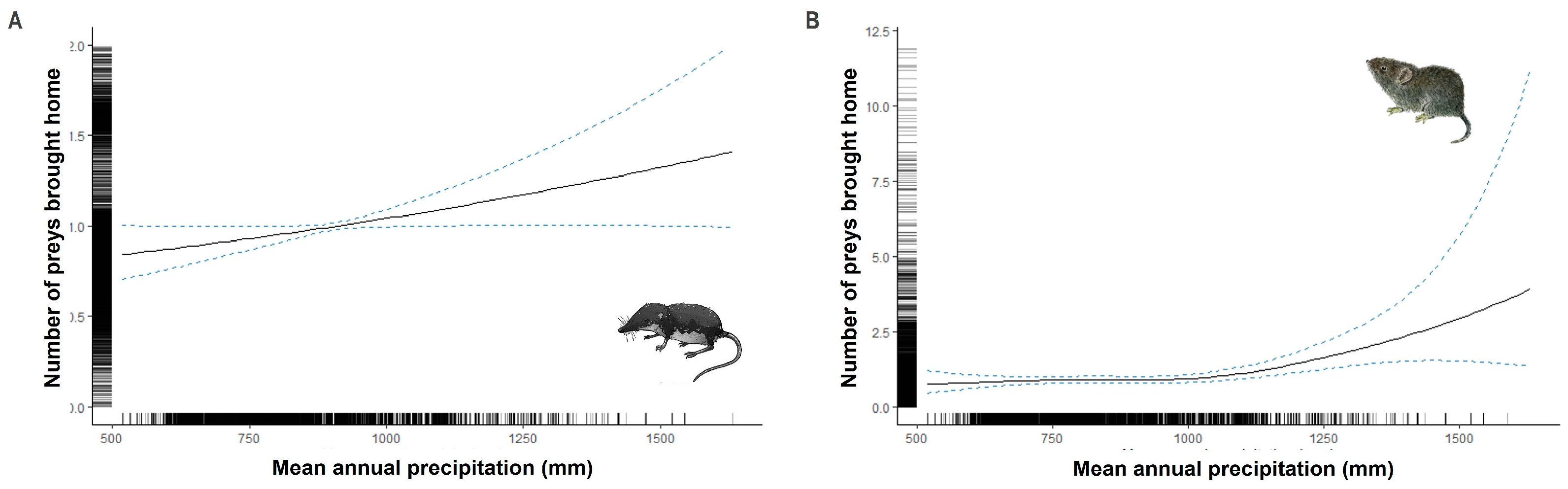 Animals 13 03507 g004