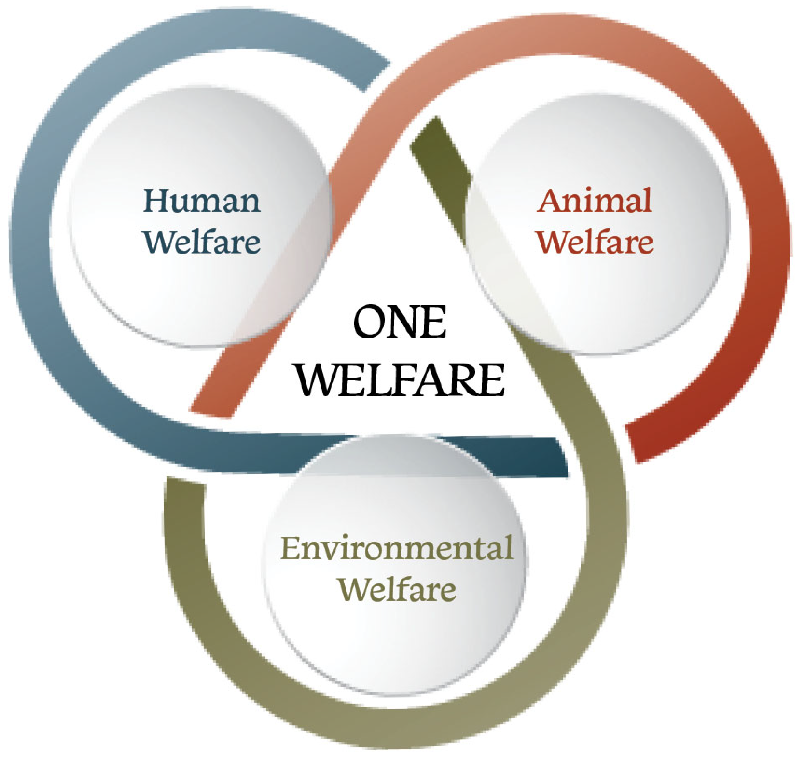 Animals 13 03518 g001