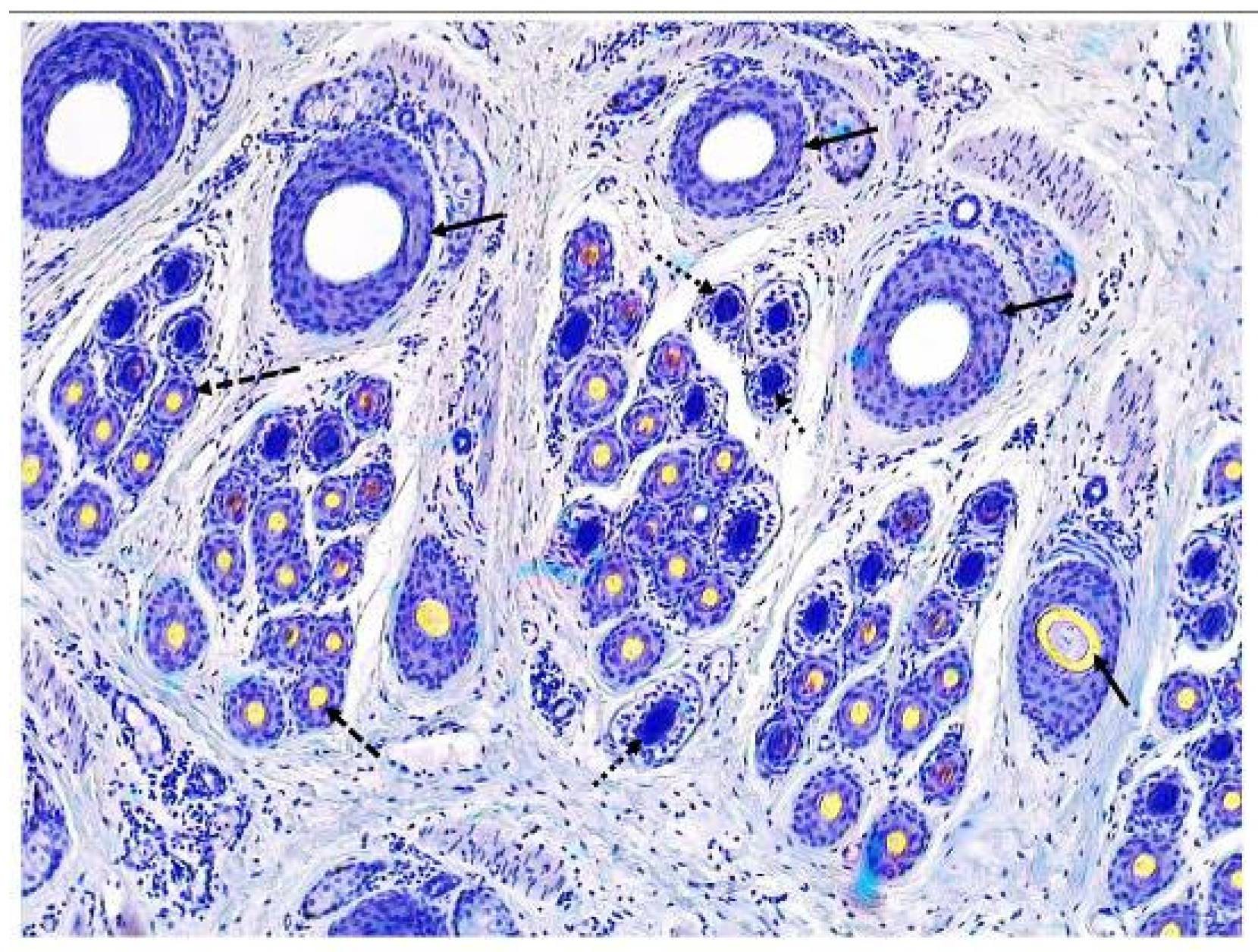 Animals 13 03519 g001