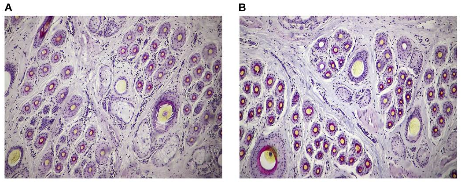 Animals 13 03519 g002