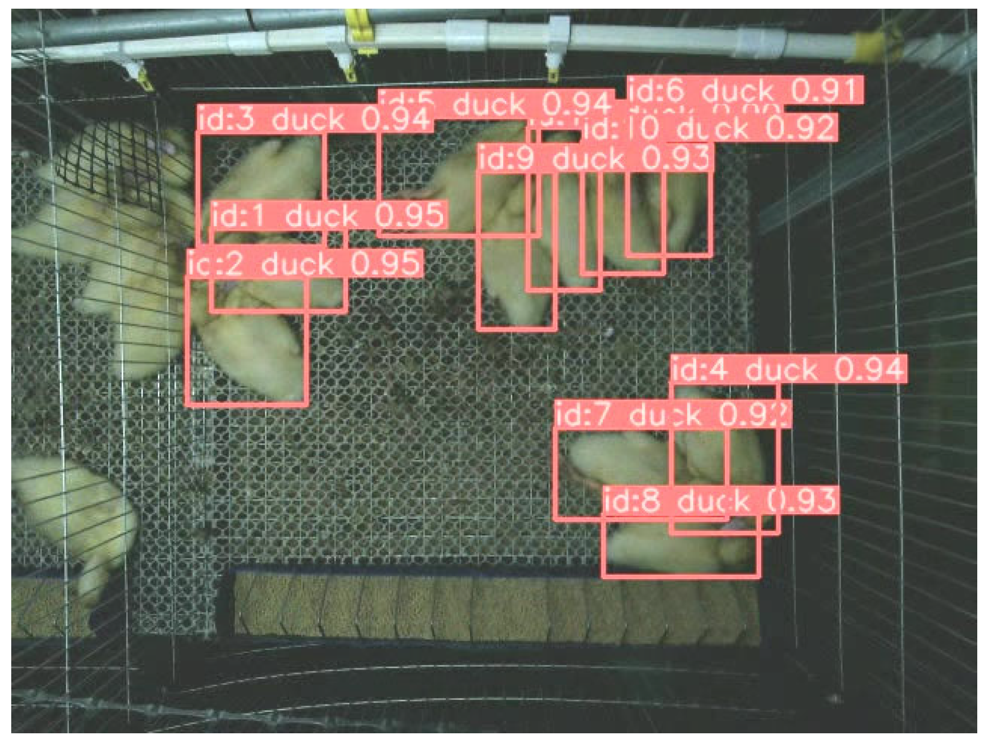 Animals 13 03520 g003