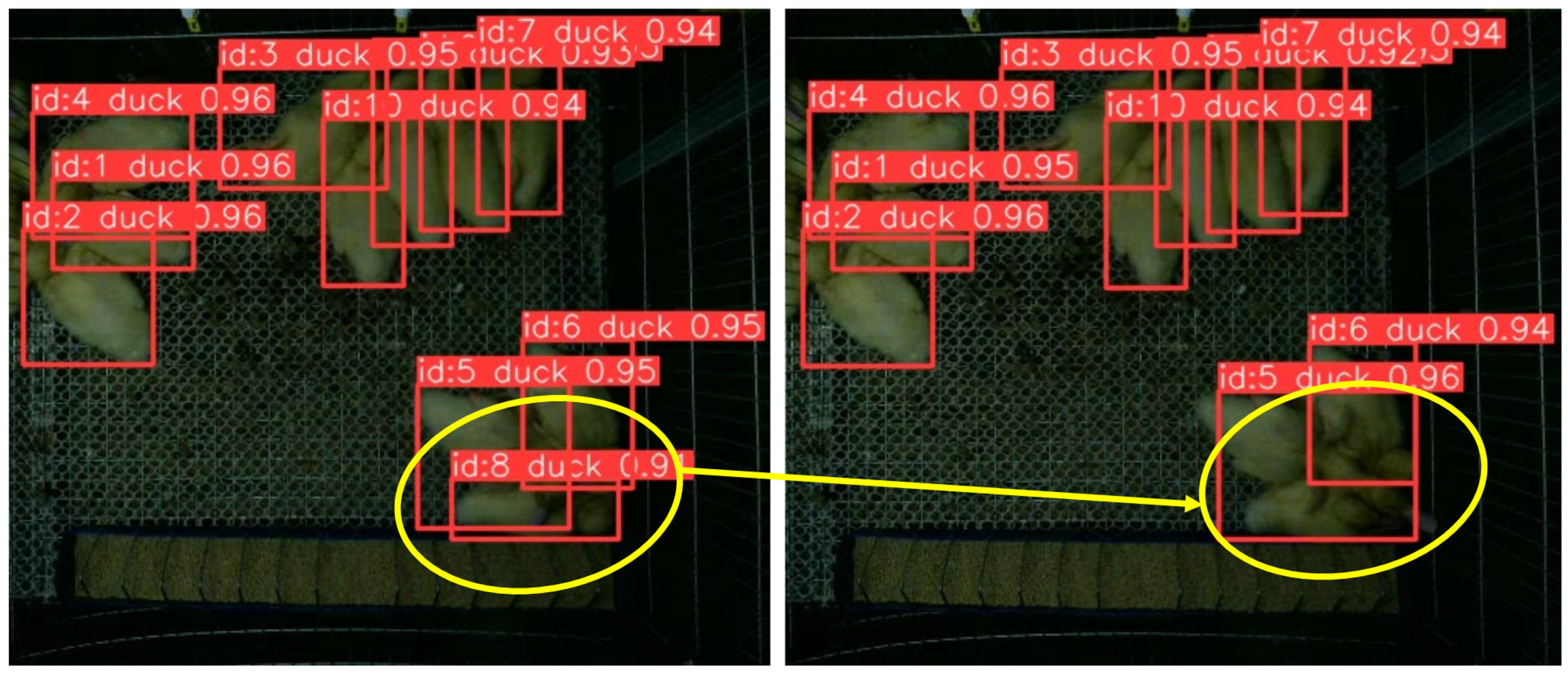 Animals 13 03520 g006