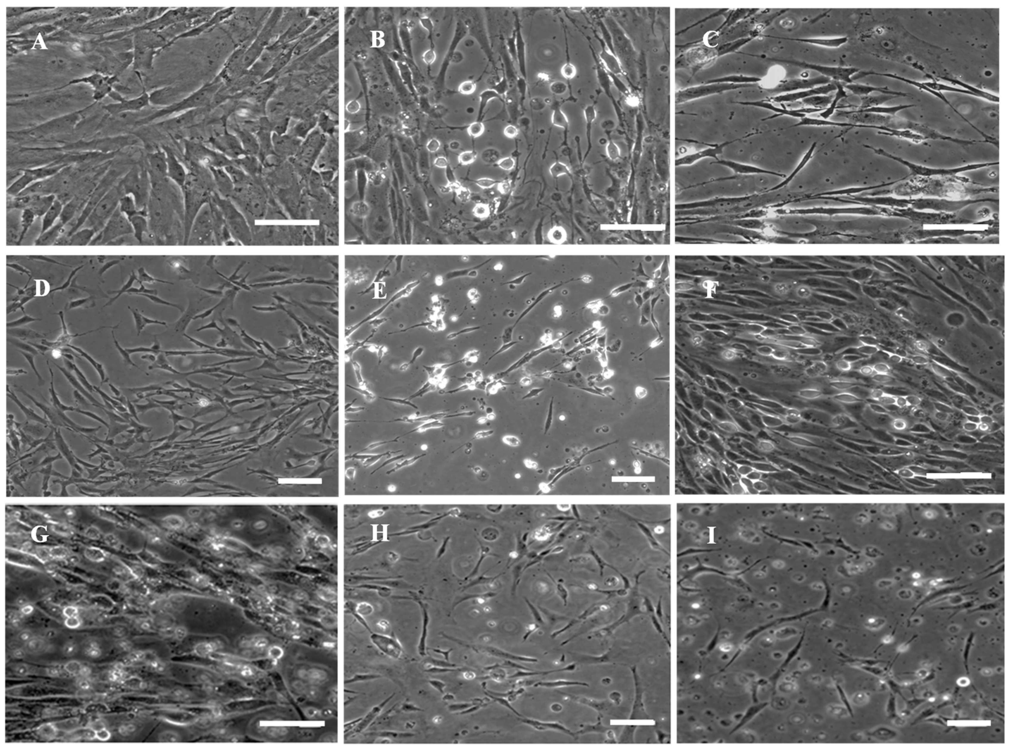 Animals 13 03524 g005