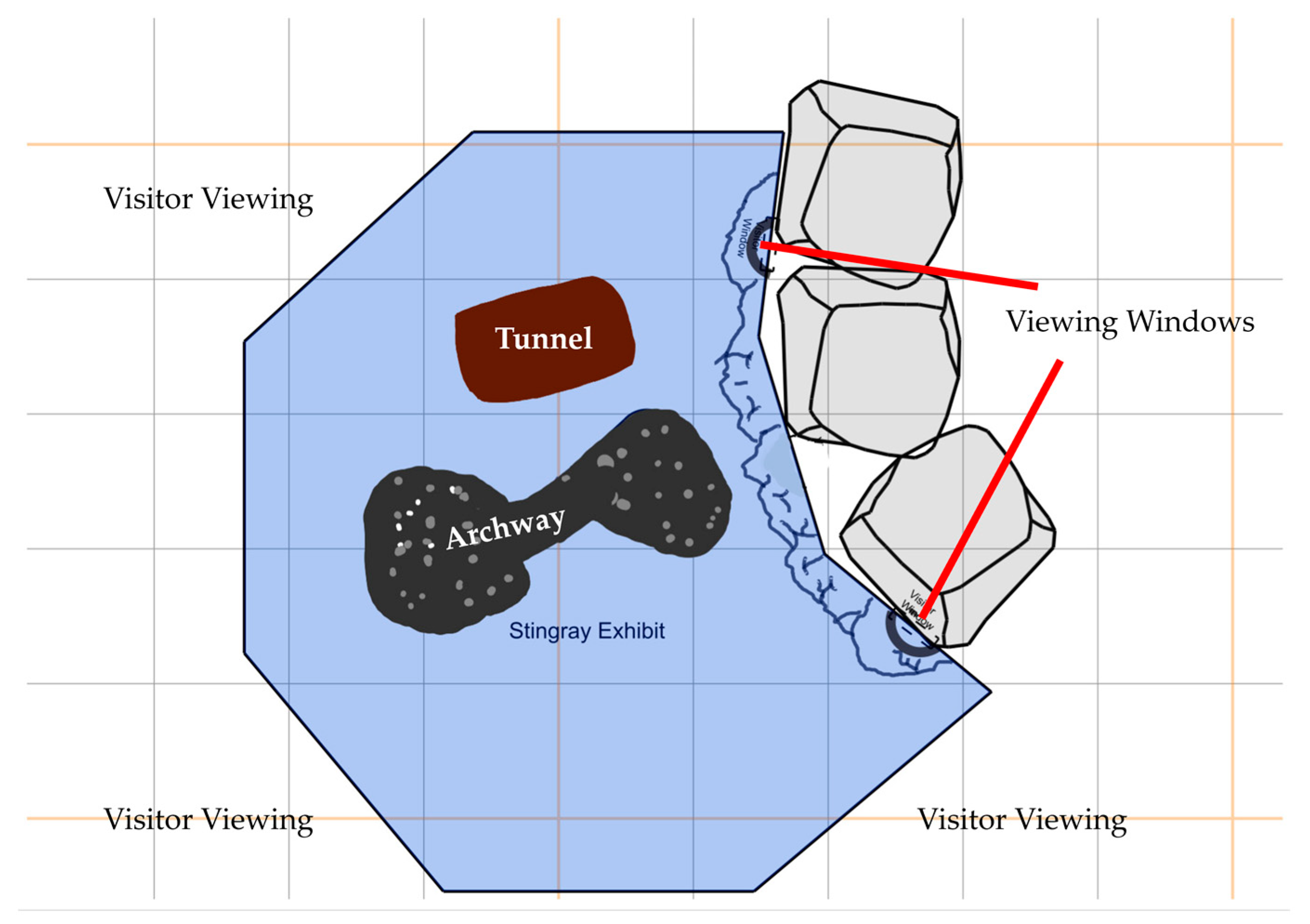 Animals 13 03526 g001 Animals 13 03526 g001