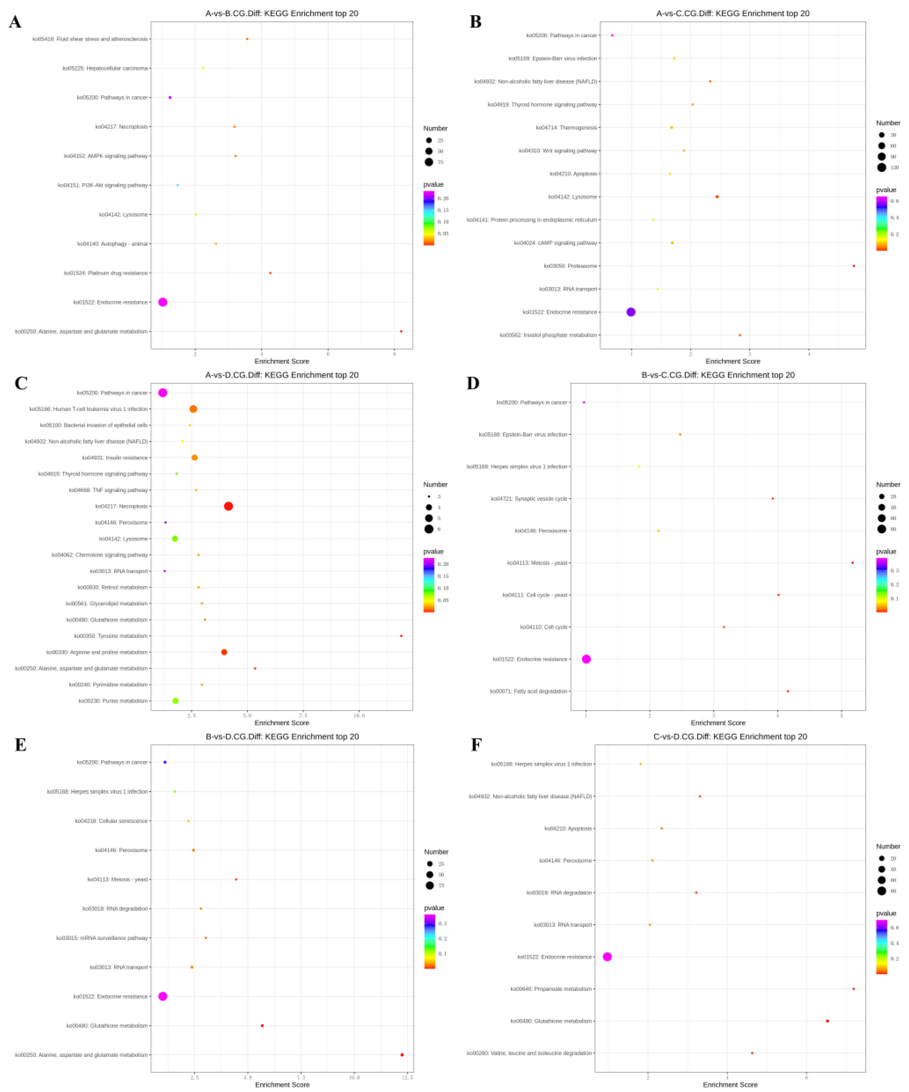 Animals 13 03530 g004