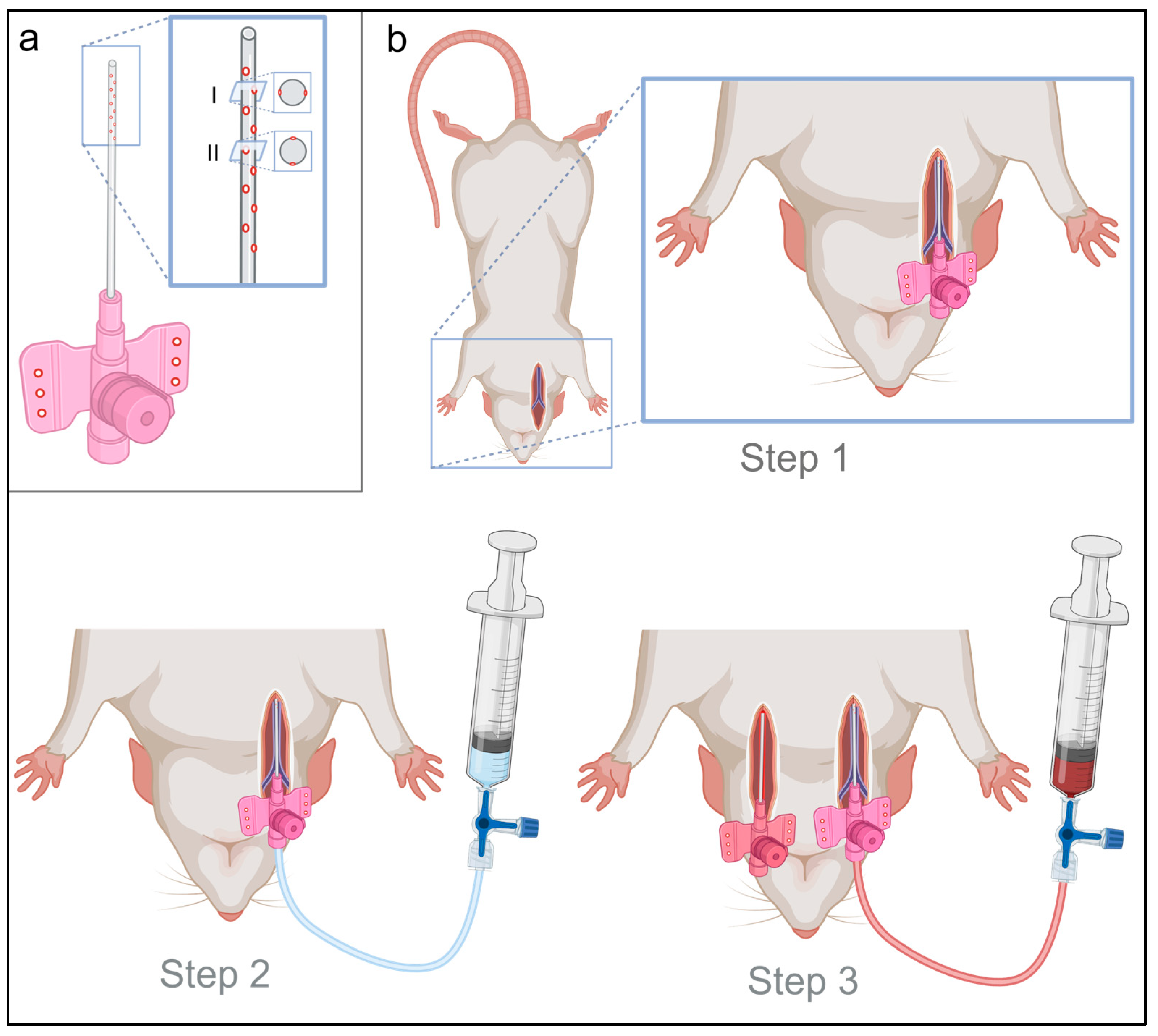 Animals 13 03532 g001