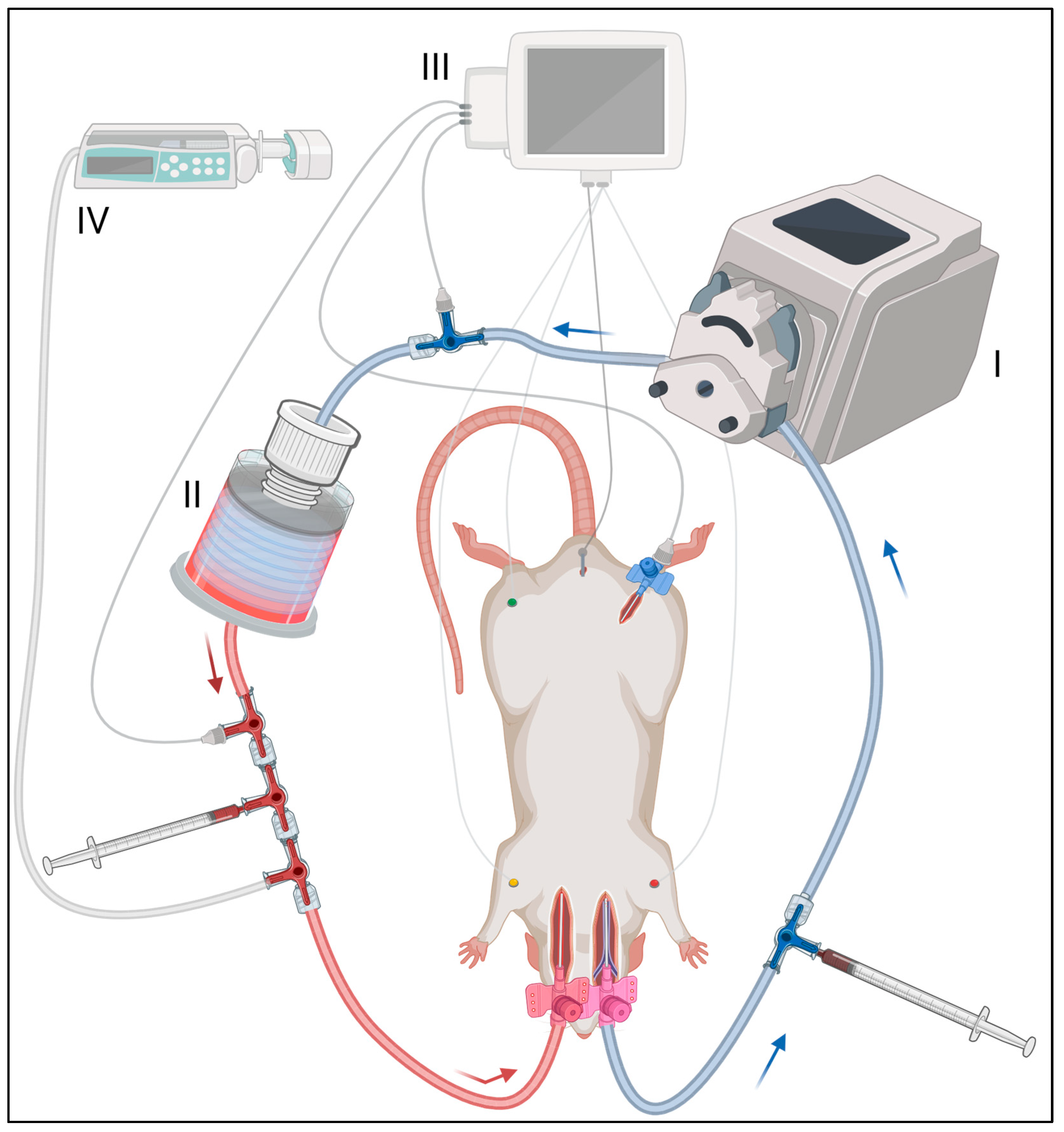 Animals 13 03532 g002