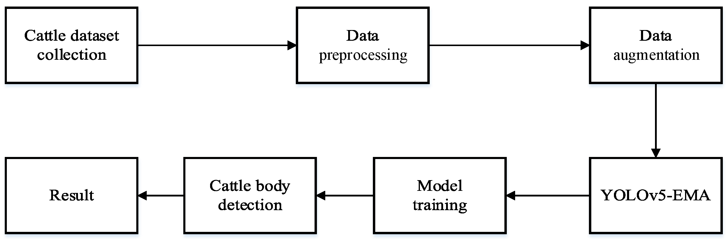 Animals 13 03535 g004