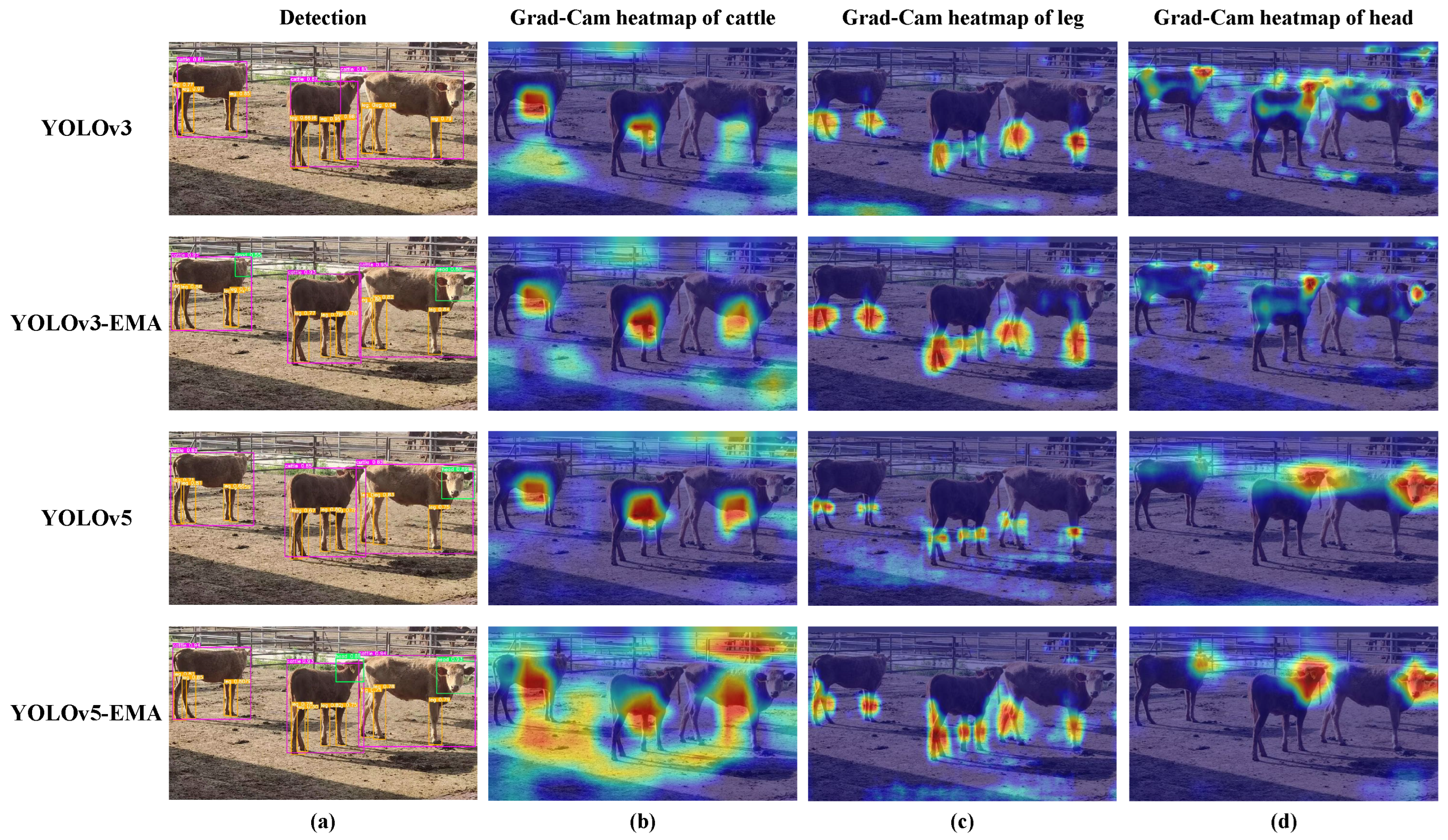 Animals 13 03535 g009