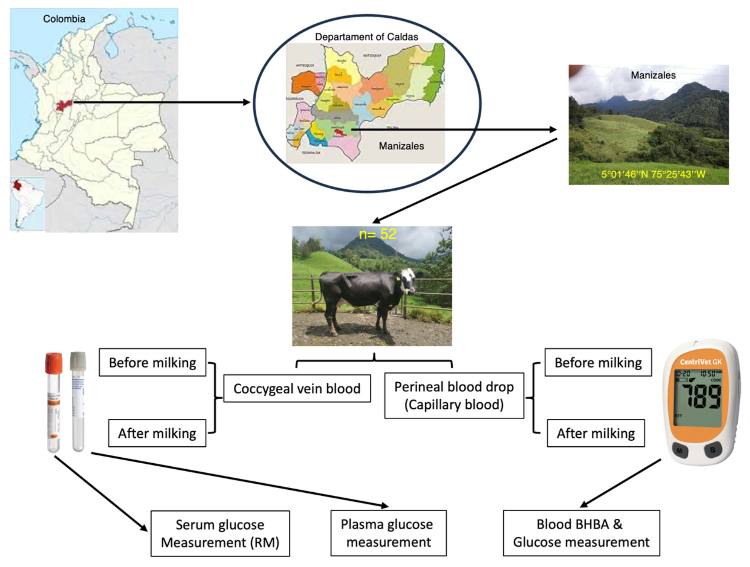 Animals 13 03536 g001