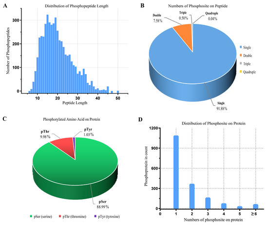 iTRAQ-Based Phosphoproteomic Analysis Exposes Molecular