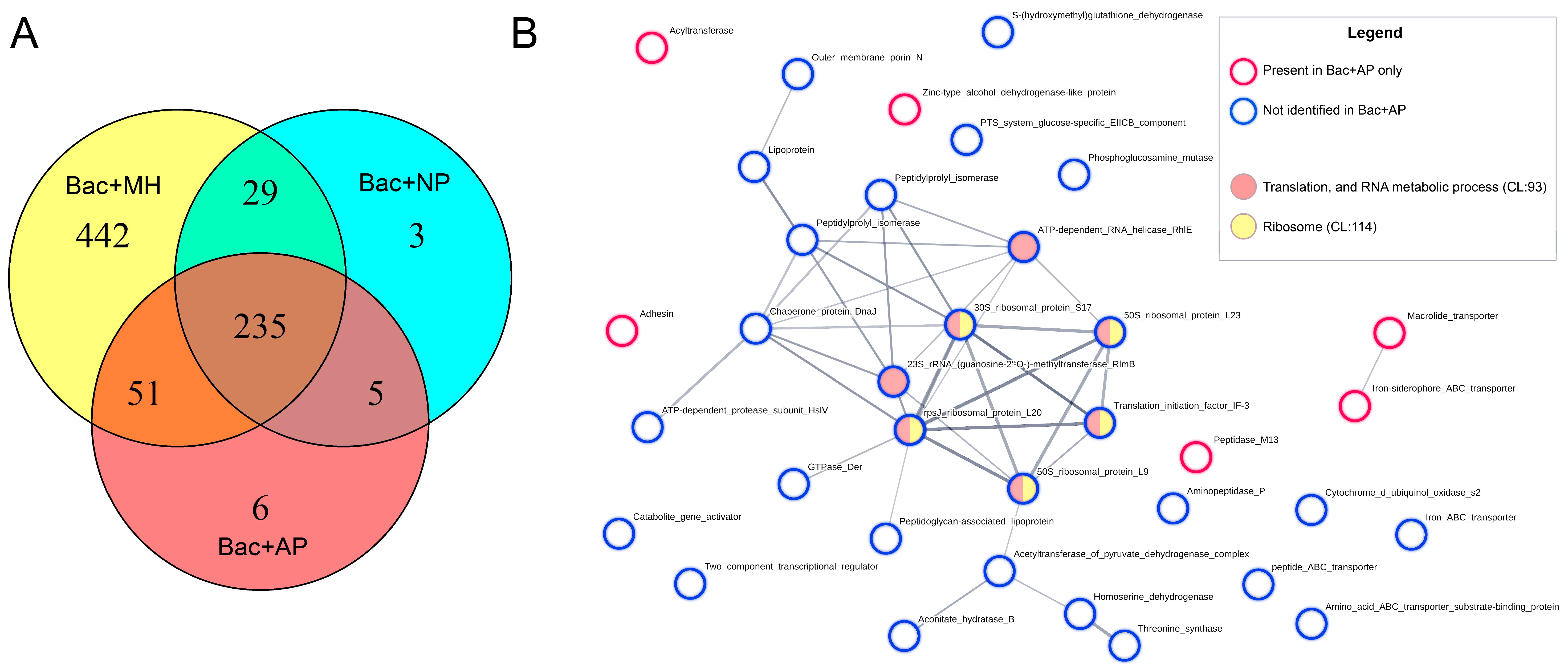 Animals 13 03565 g006 Animals 13 03565 g006
