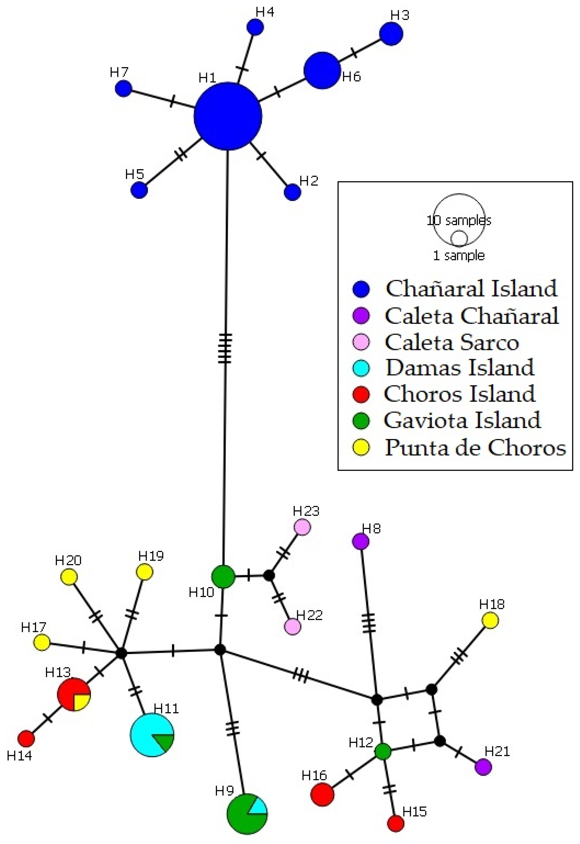 Animals 13 03576 g003