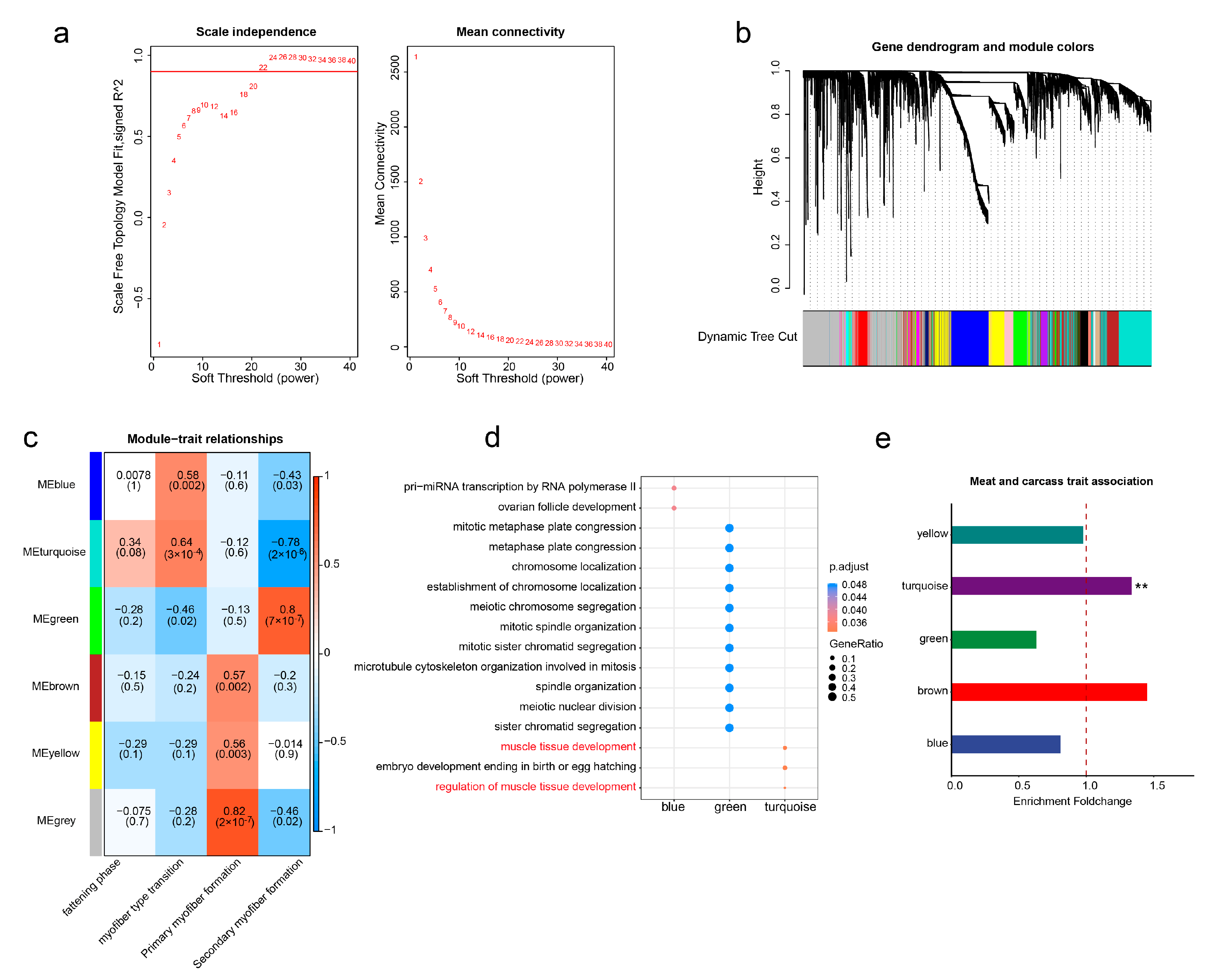 Animals 13 03581 g004 Animals 13 03581 g004