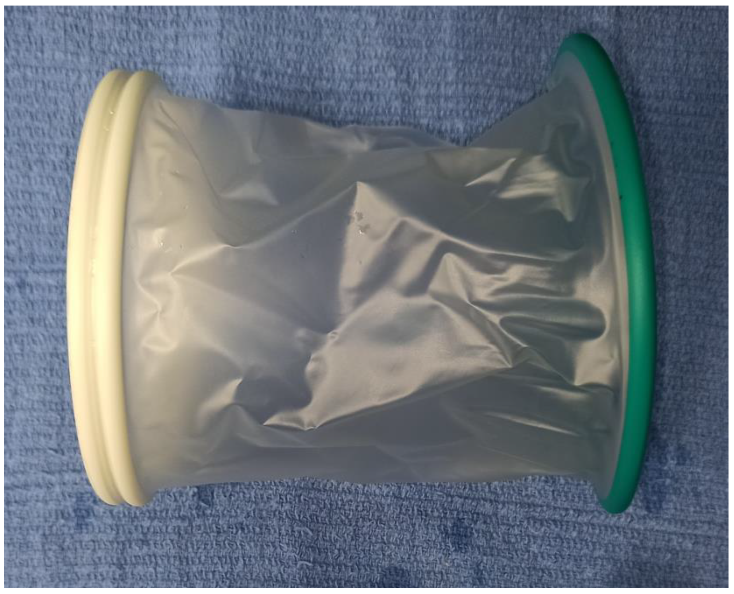 Animals 13 03582 g001