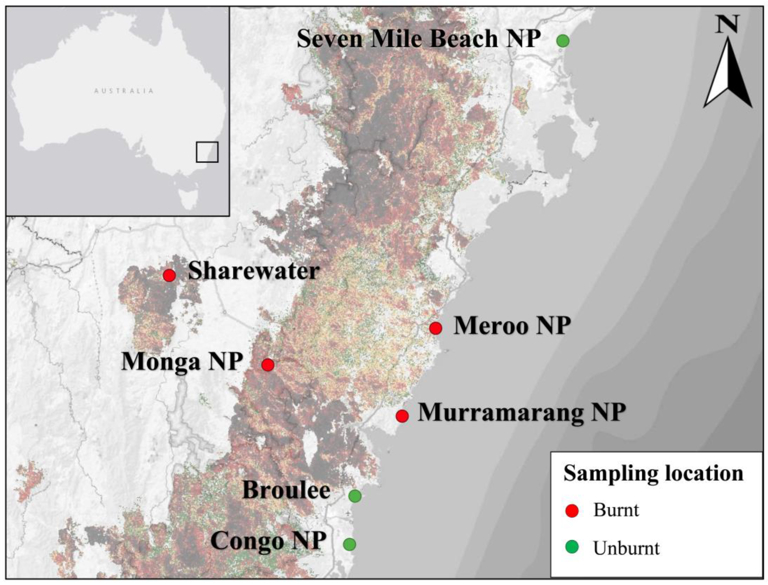 Animals 13 03583 g001