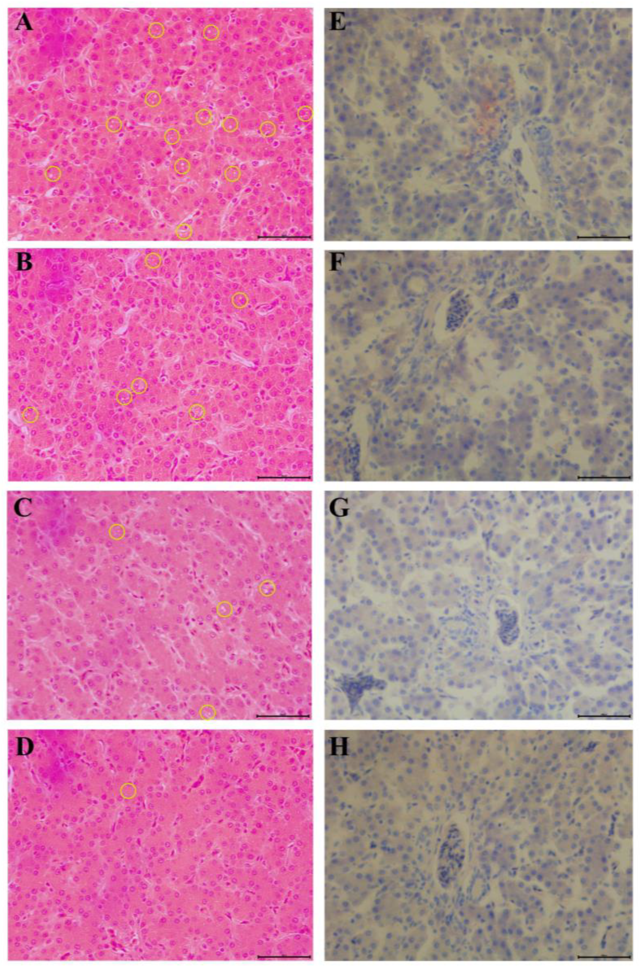 Animals 13 03587 g002