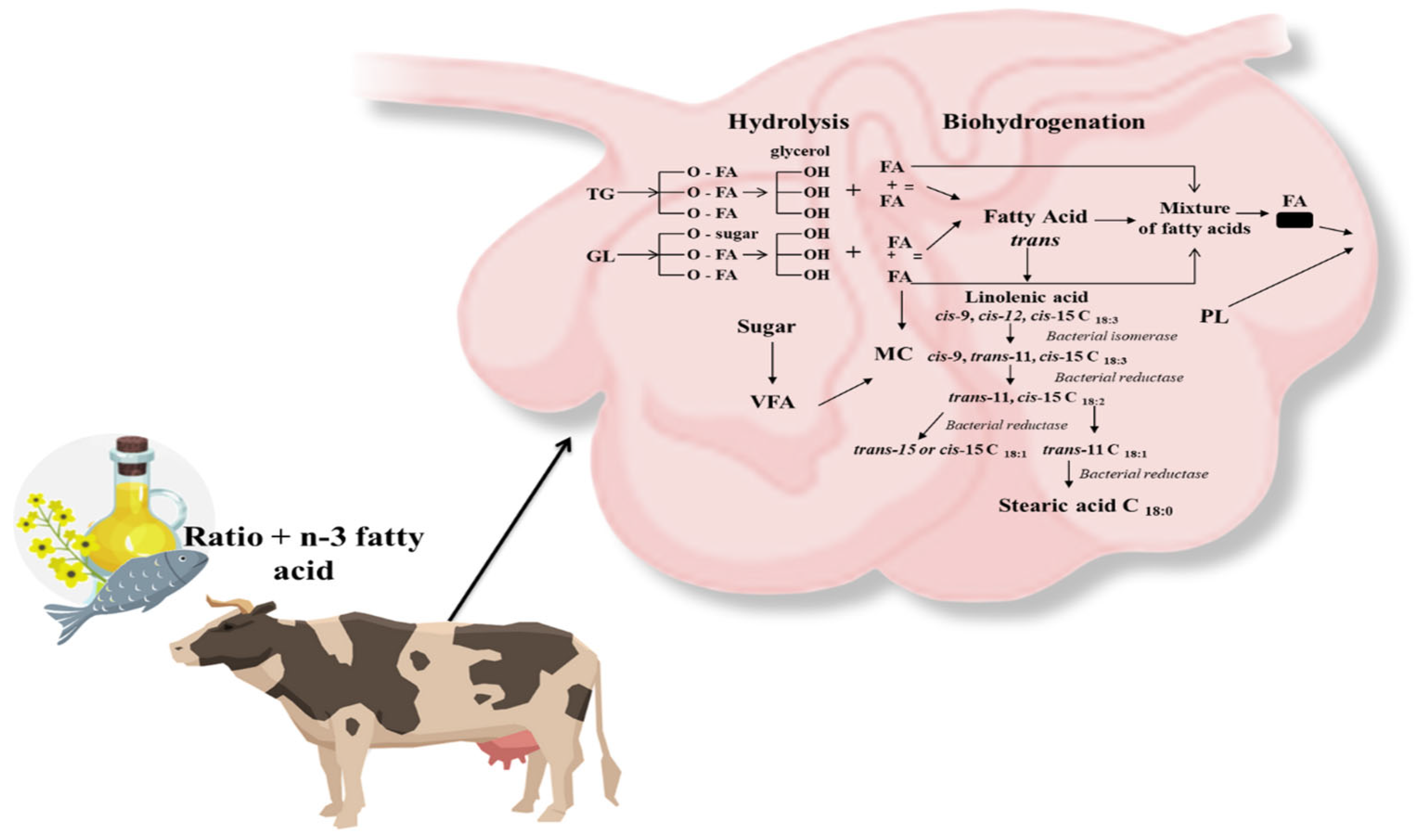 Animals 13 03589 g003 Animals 13 03589 g003