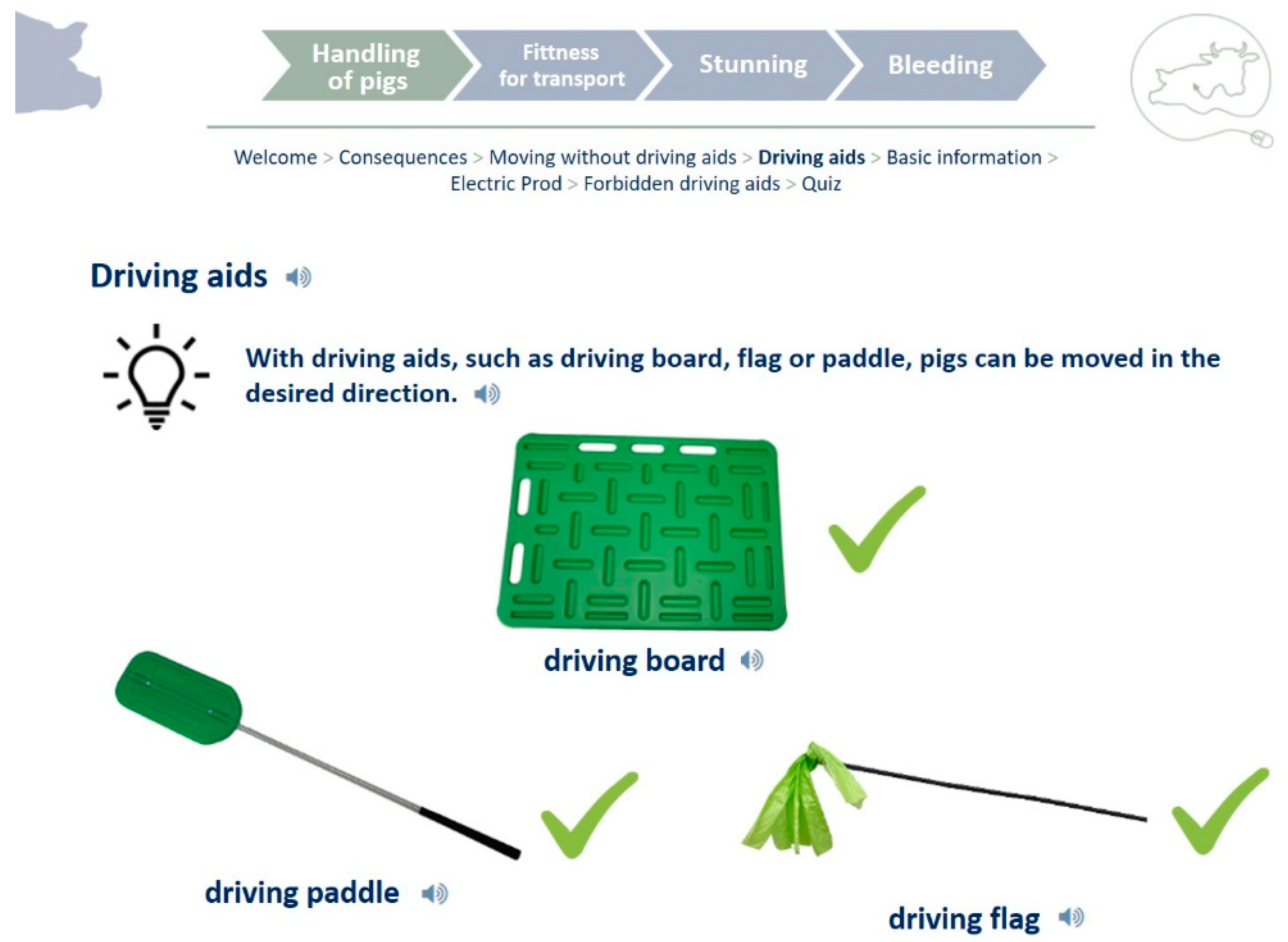 Animals 13 03593 g001