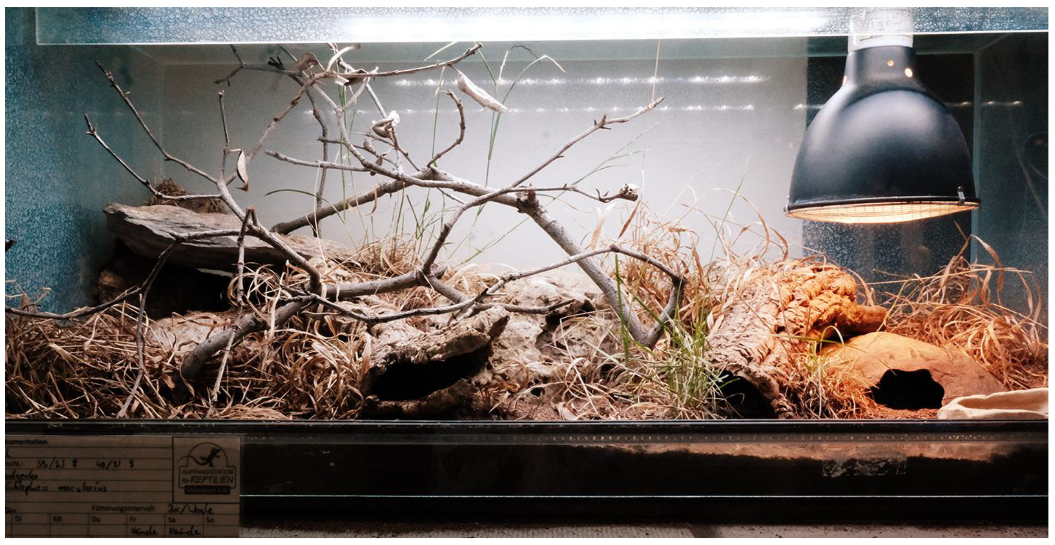 Animals 13 03595 g003