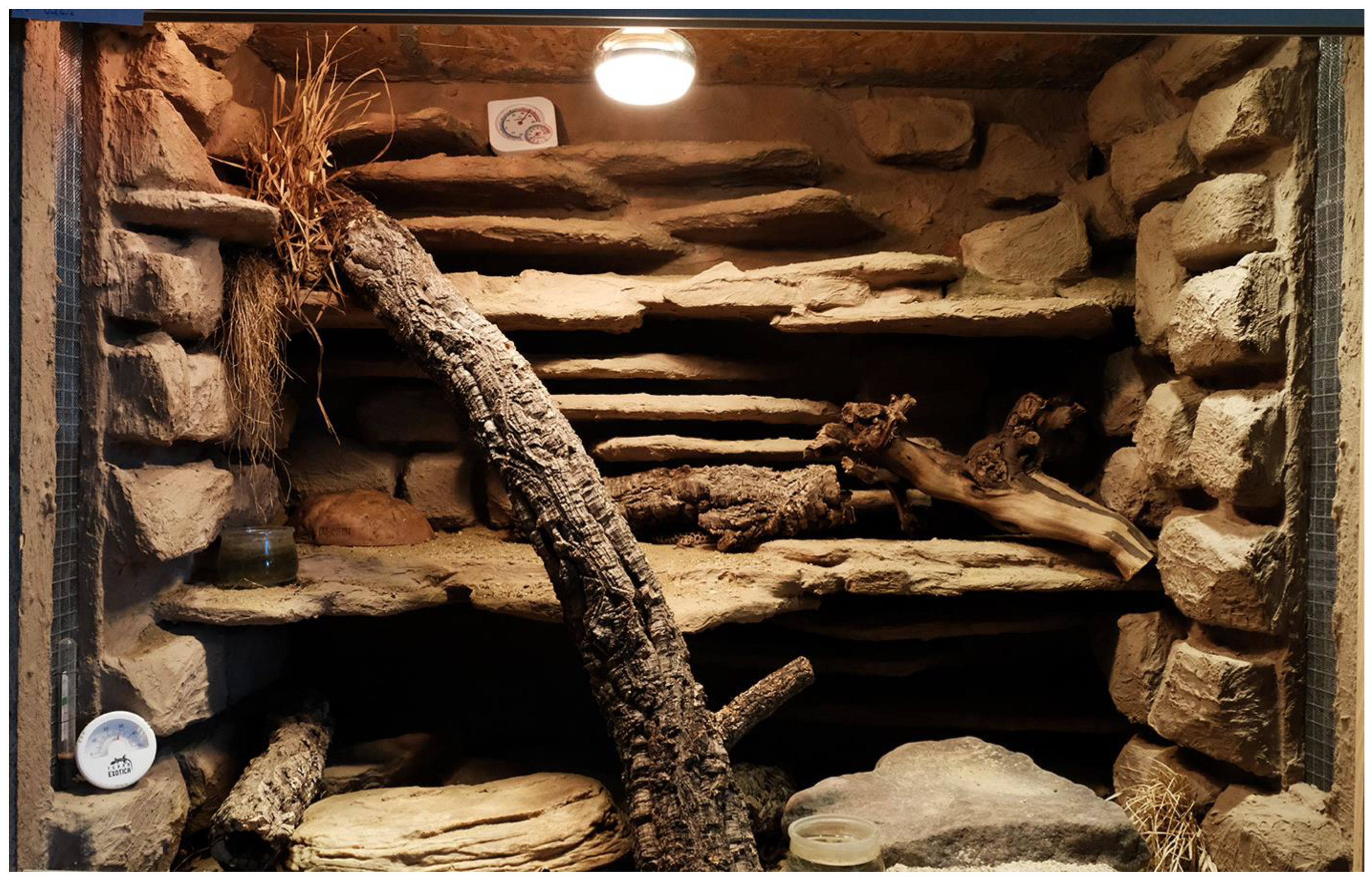 Animals 13 03595 g004