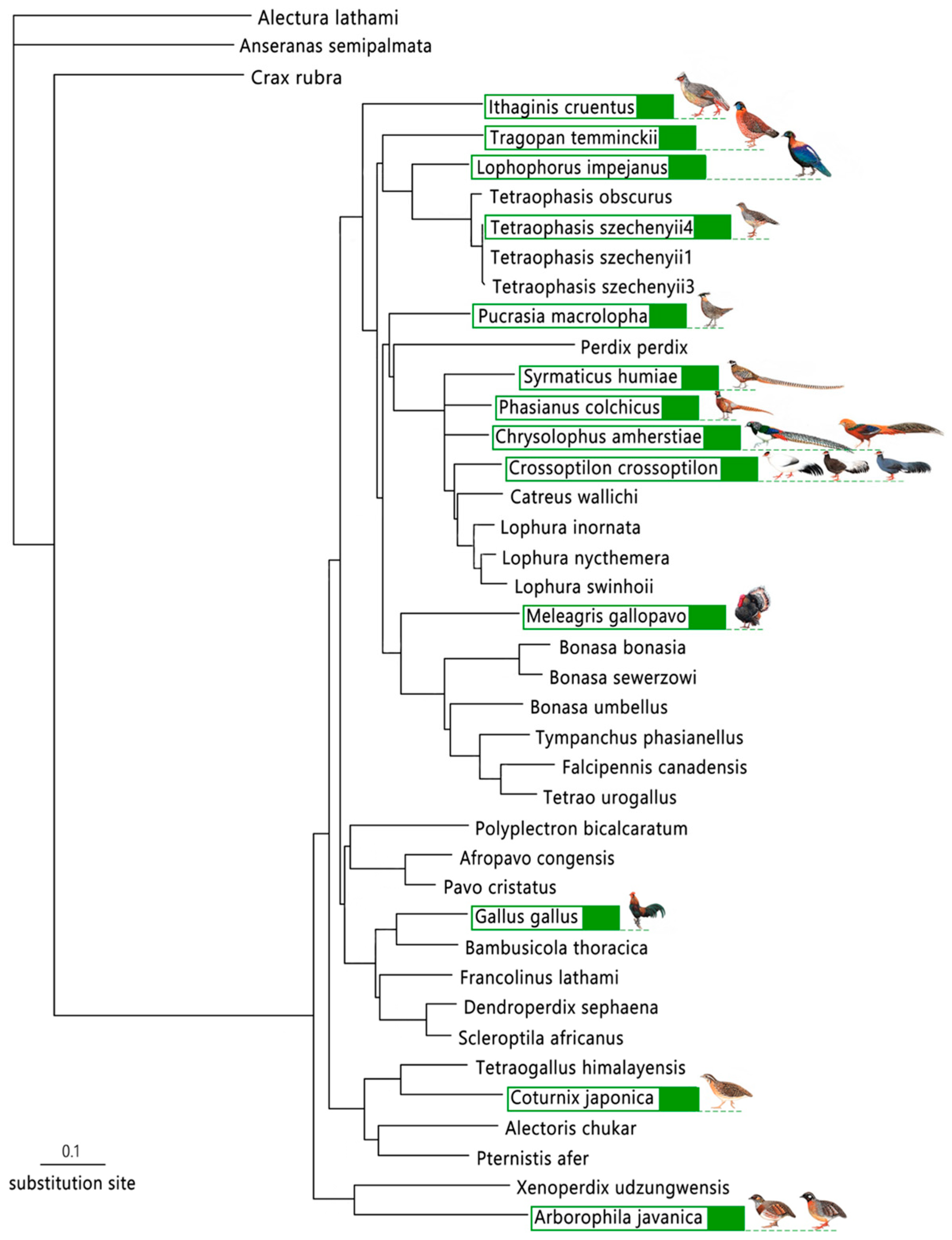 Animals 13 03601 g001 Animals 13 03601 g001
