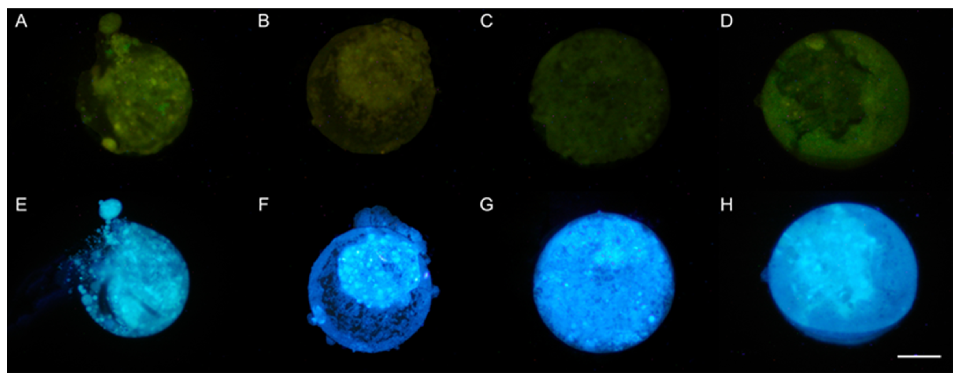 Animals 13 03602 g003 Animals 13 03602 g003