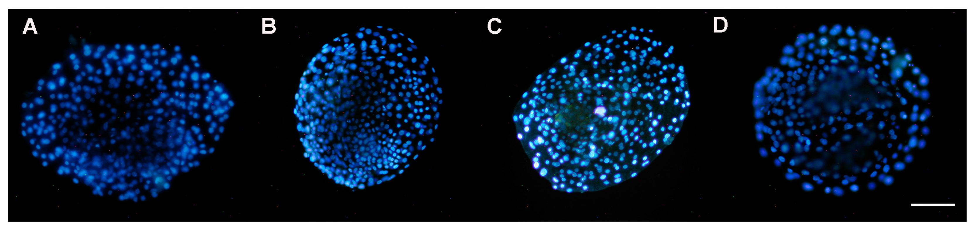 Animals 13 03602 g006 Animals 13 03602 g006