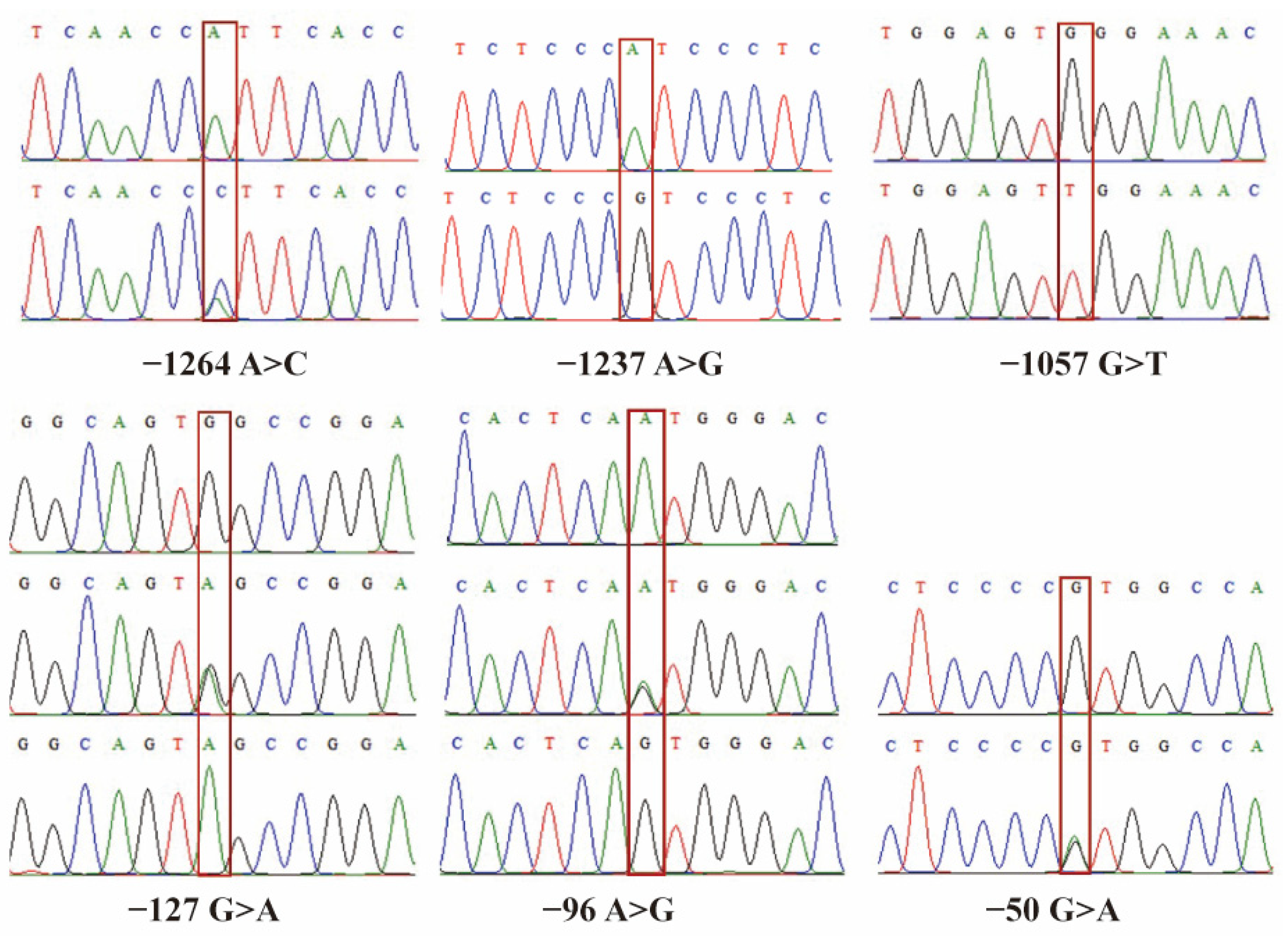 Animals 13 03615 g005