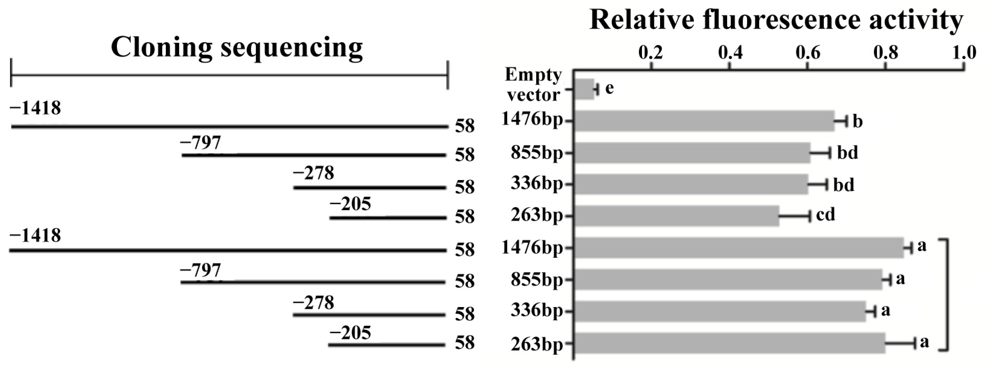 Animals 13 03615 g006