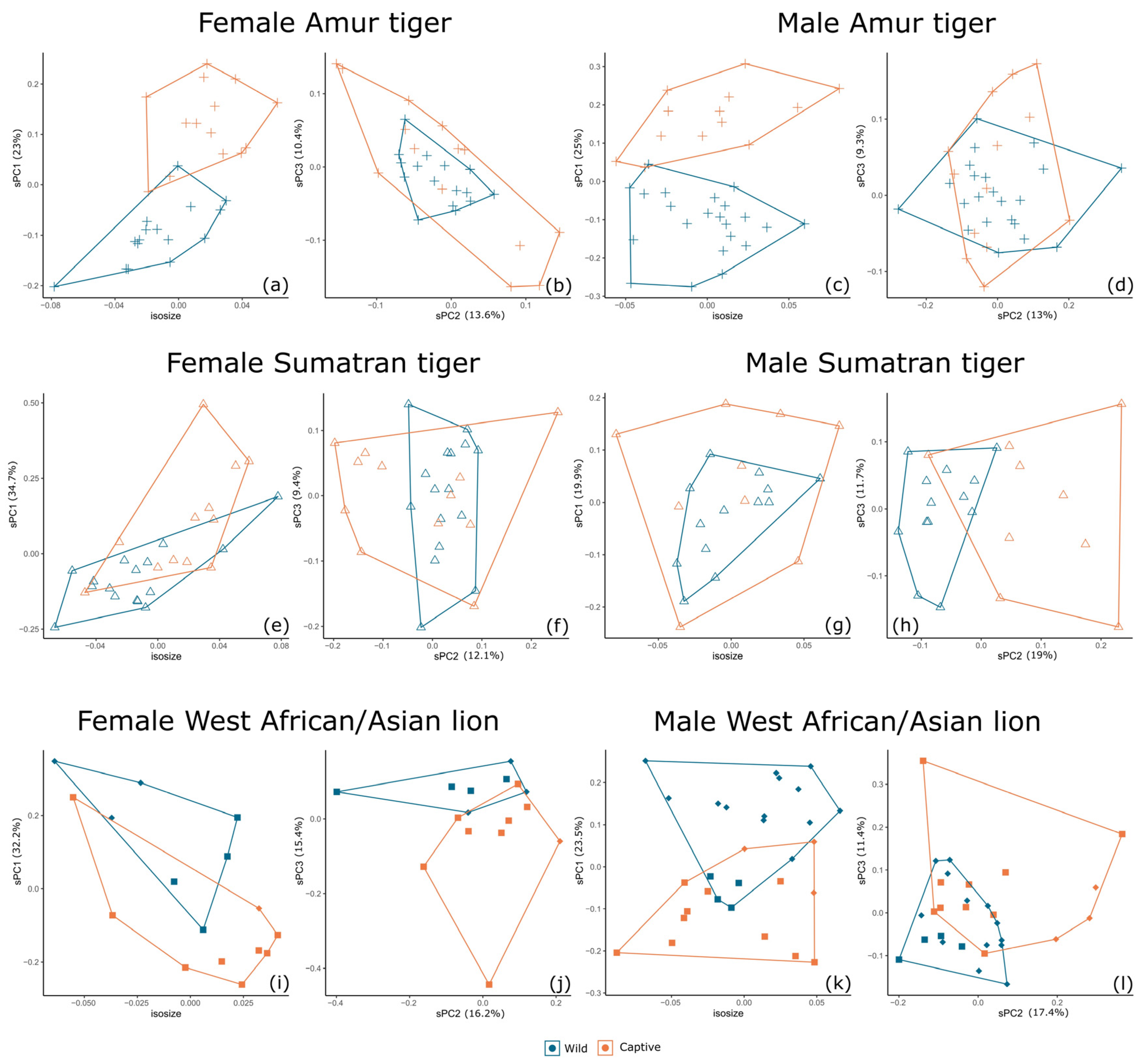 Animals 13 03616 g006